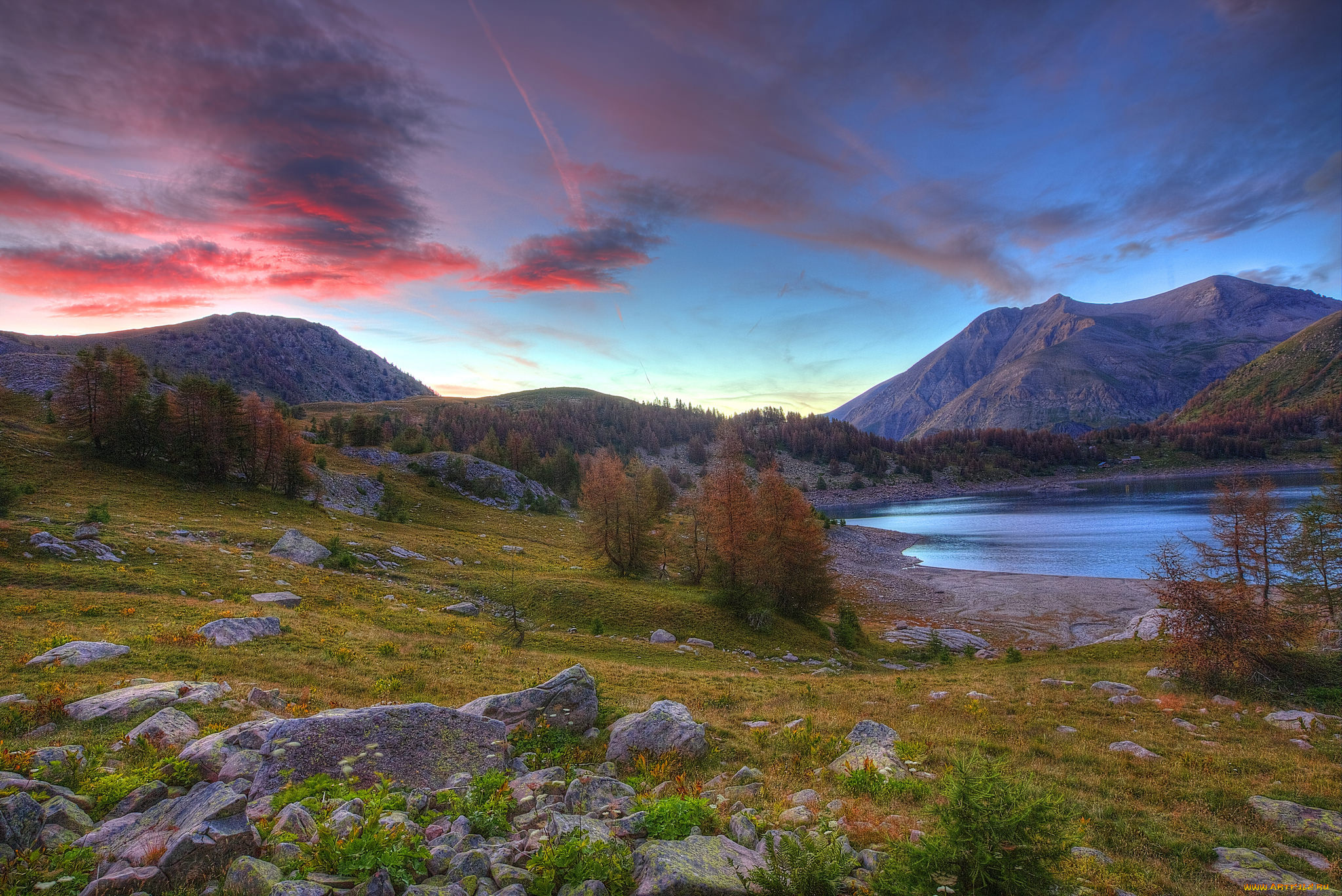 природа, реки, озера, лес, река