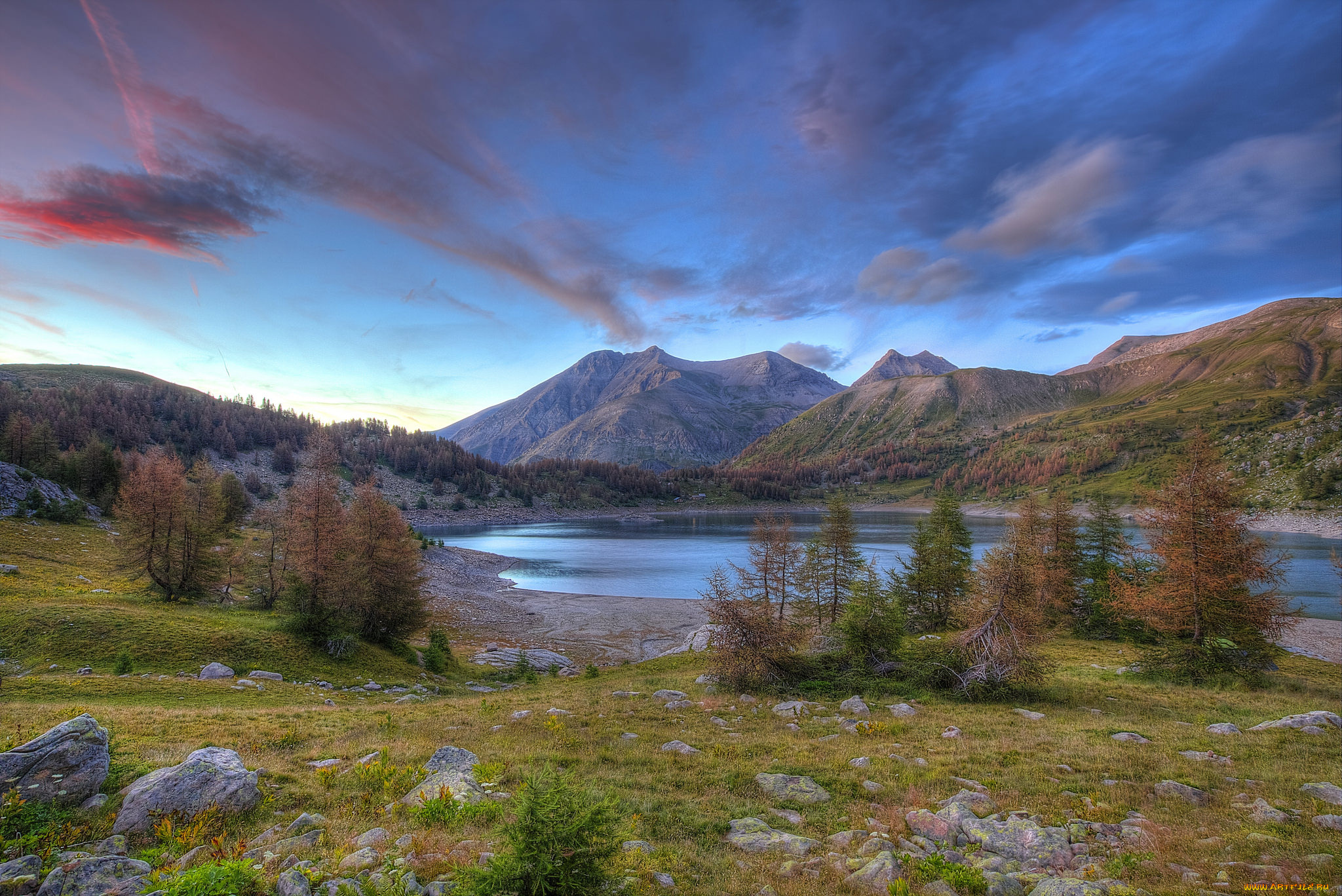 природа, реки, озера, река, лес