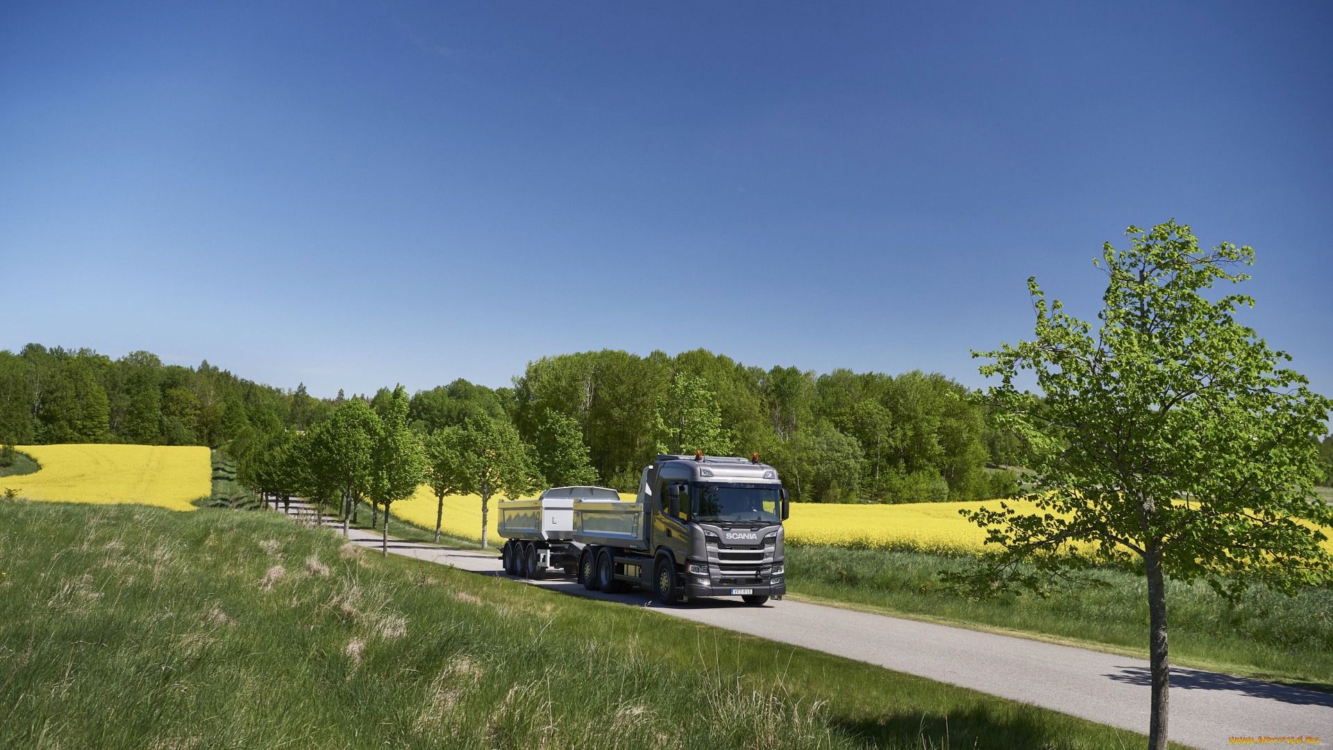 автомобили, scania