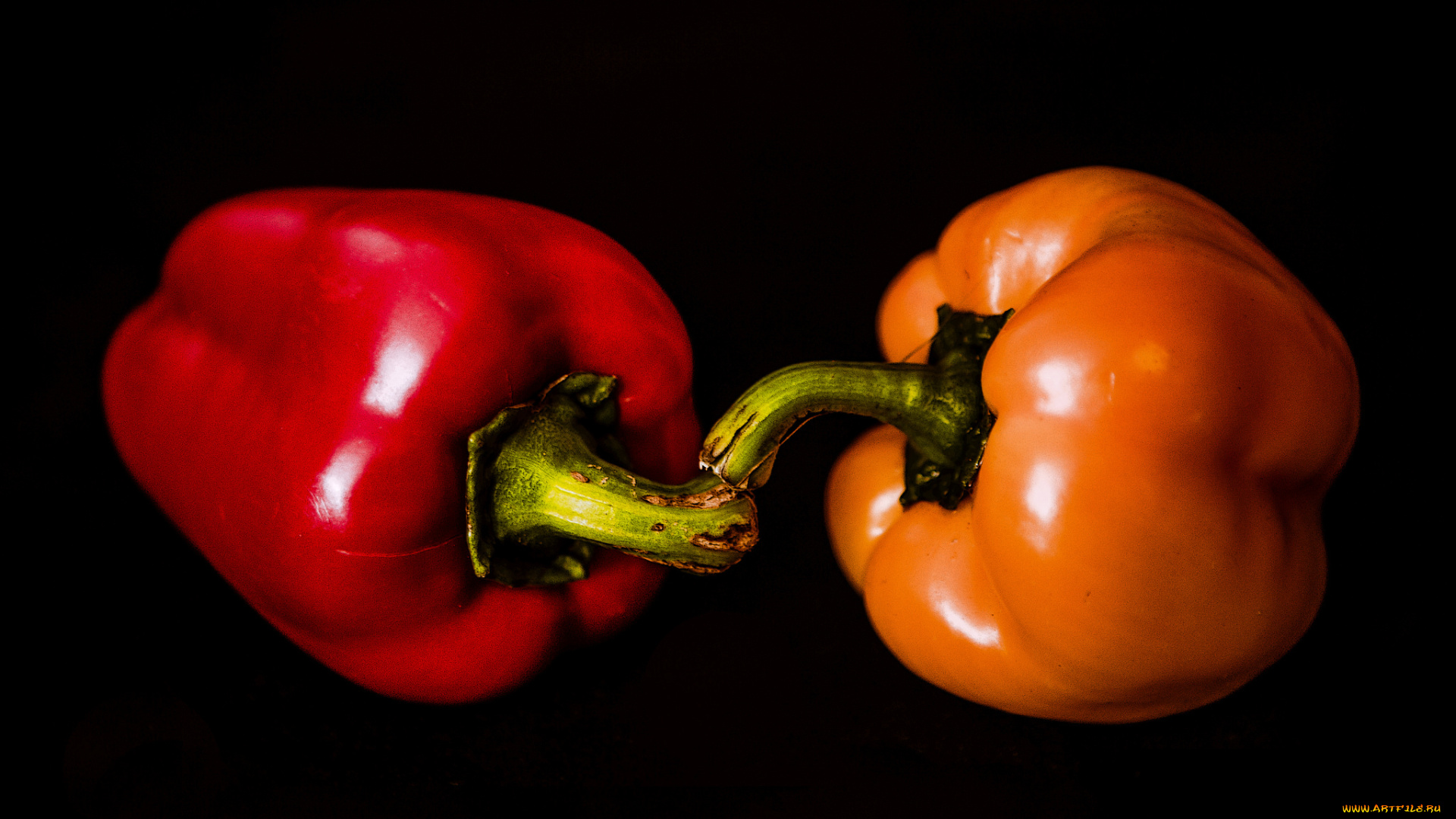 еда, перец, снедь