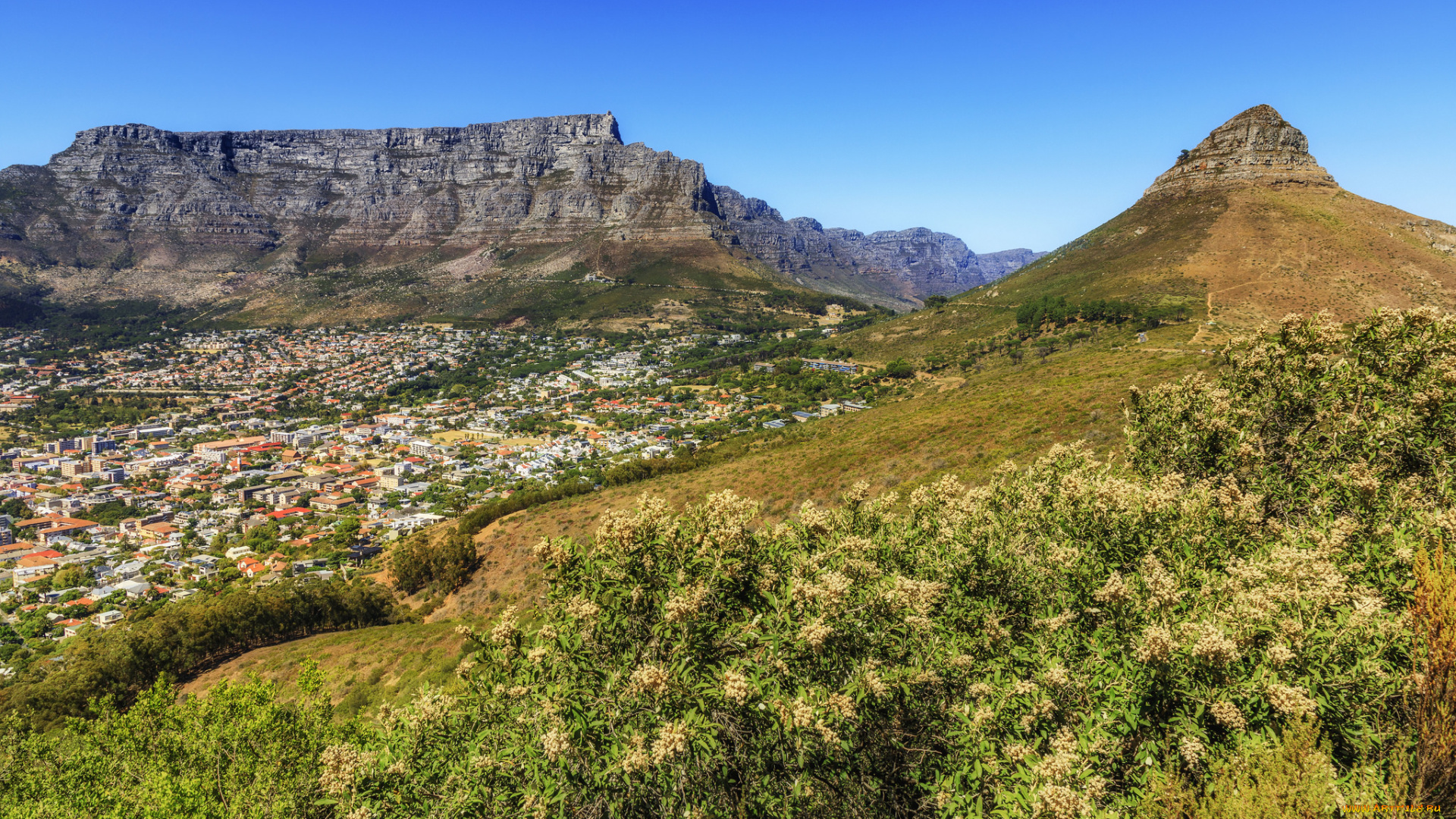 города, -, пейзажи, простор