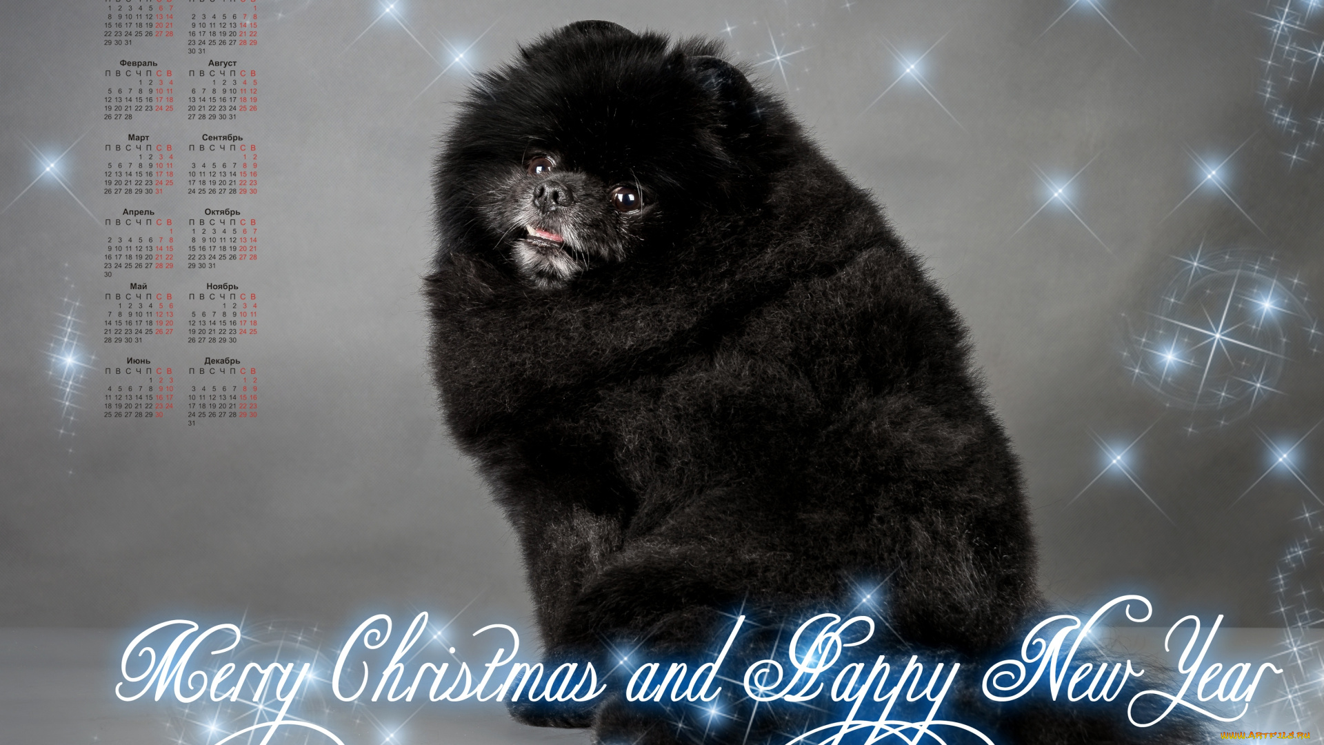 календари, животные, собака, черный, цвет, 2018
