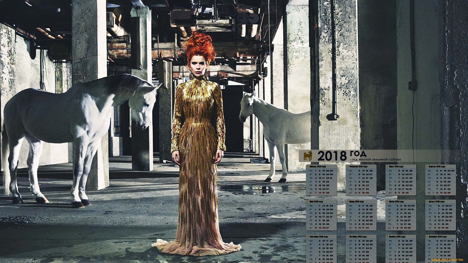 paloma, fejt, календари, знаменитости, лошадь, певица, женщина, 2018