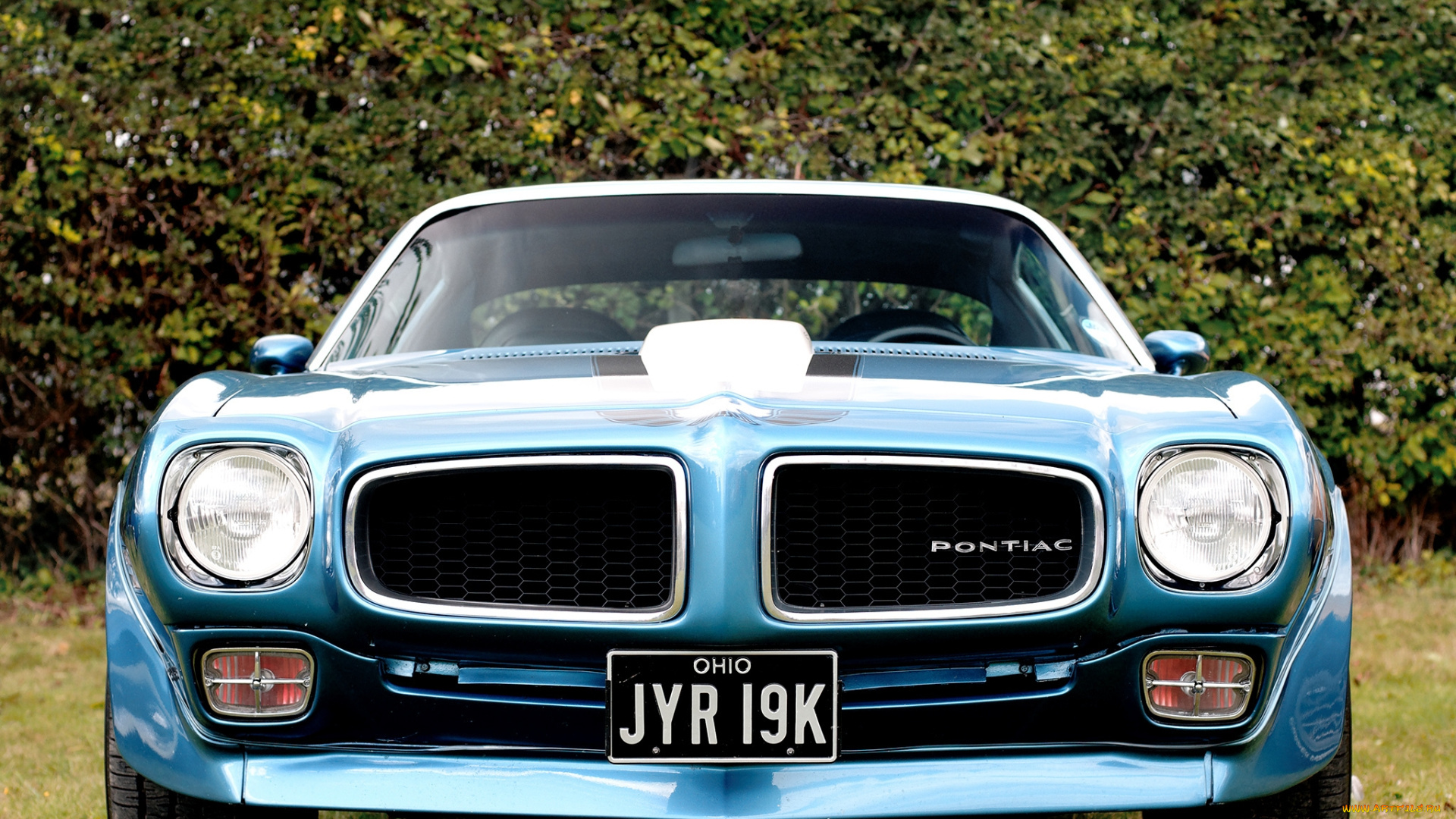 pontiac, firebird, , trans, am, 1970–73, автомобили, pontiac