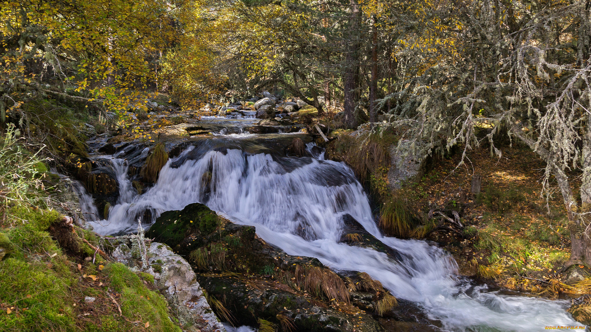 природа, реки, озера, простор