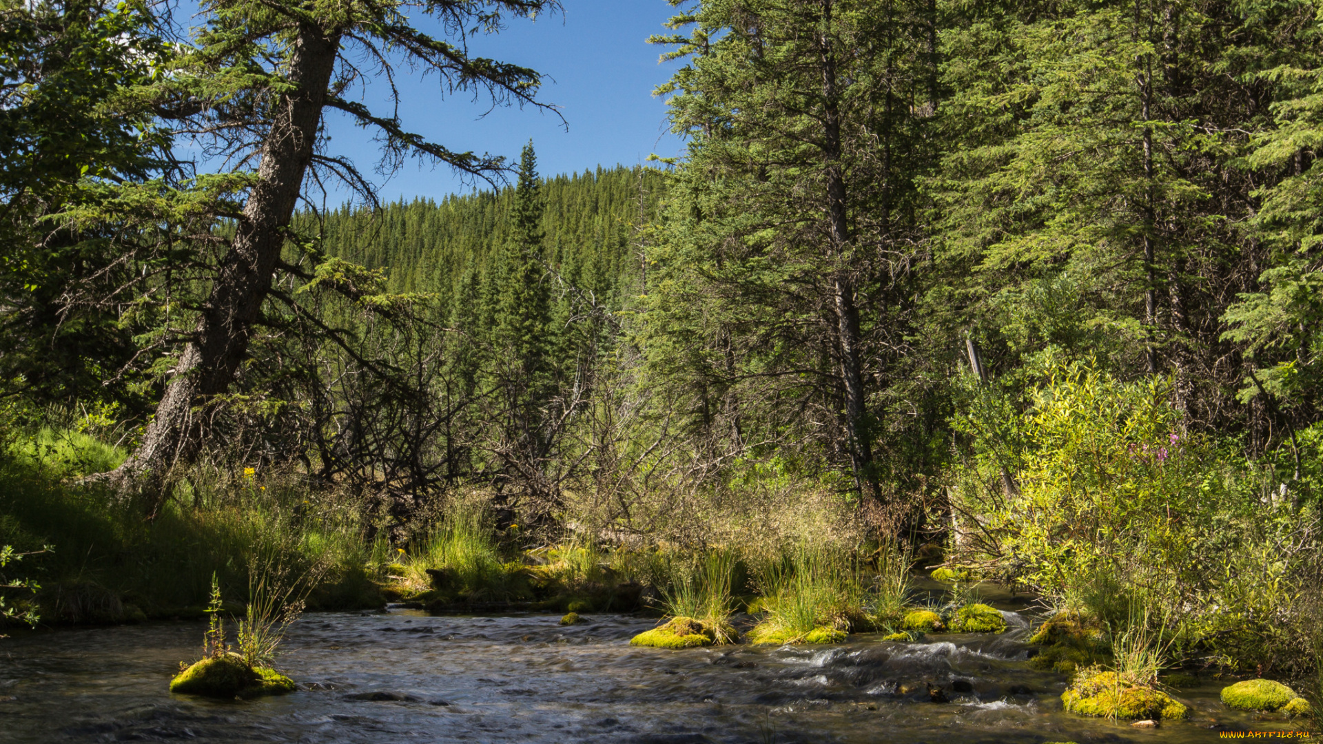 природа, реки, озера, простор