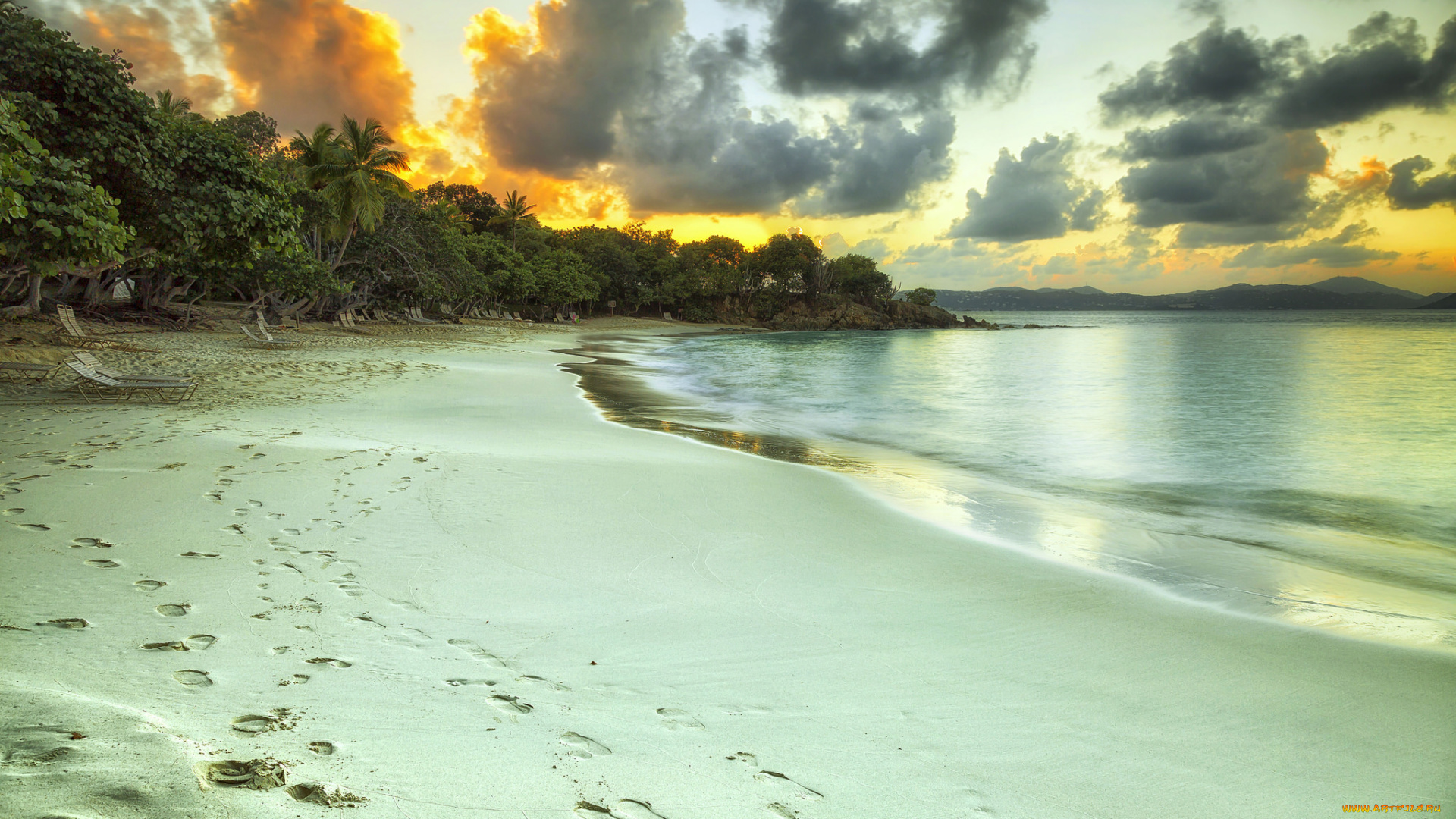 природа, тропики, простор