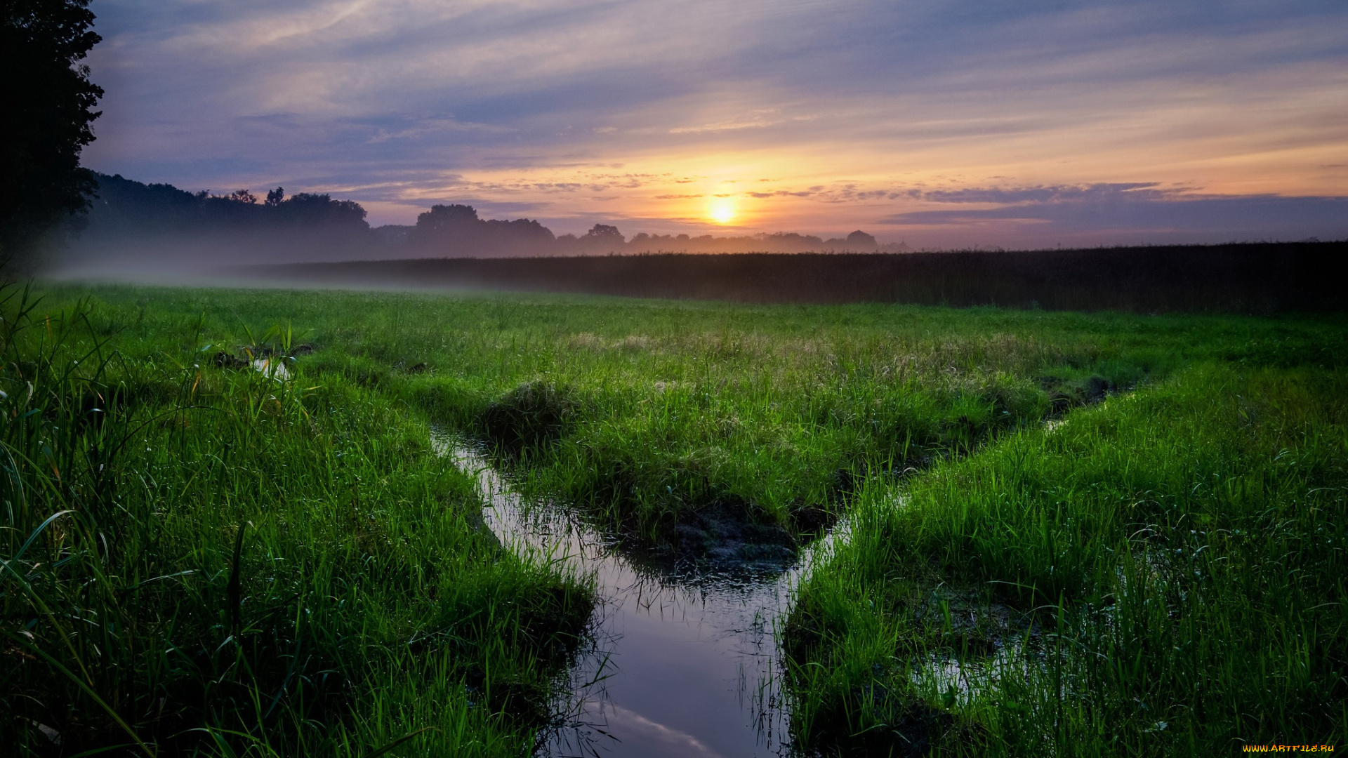 природа, восходы, закаты, туман, поле, закат