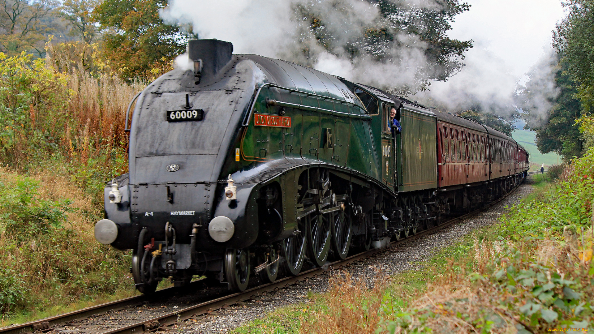 техника, паровозы, состав, локомотив