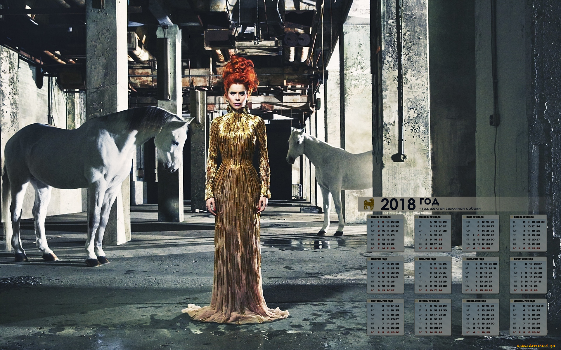 paloma, fejt, календари, знаменитости, лошадь, певица, женщина, 2018