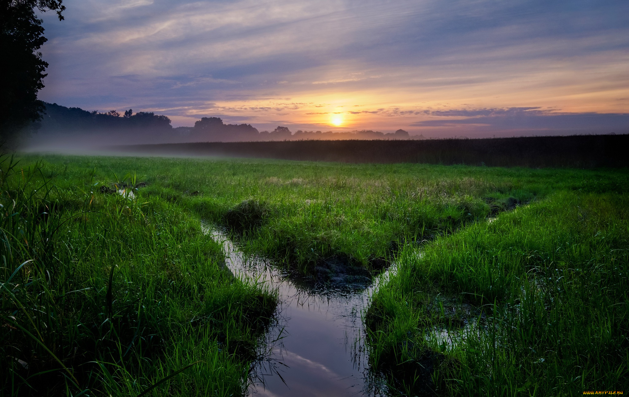 природа, восходы, закаты, туман, поле, закат