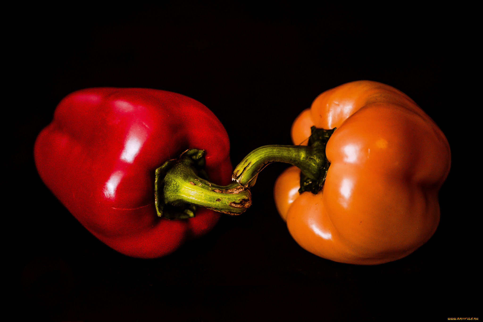 еда, перец, снедь