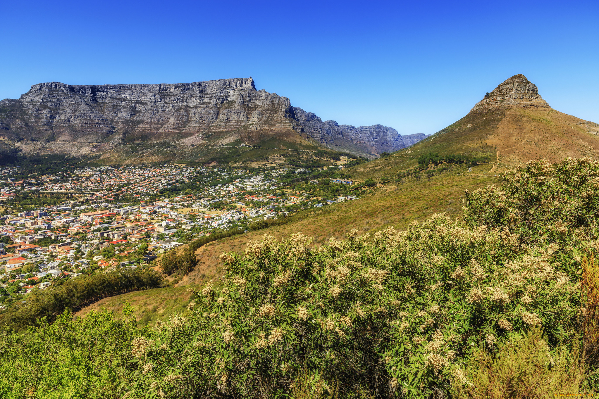 города, -, пейзажи, простор