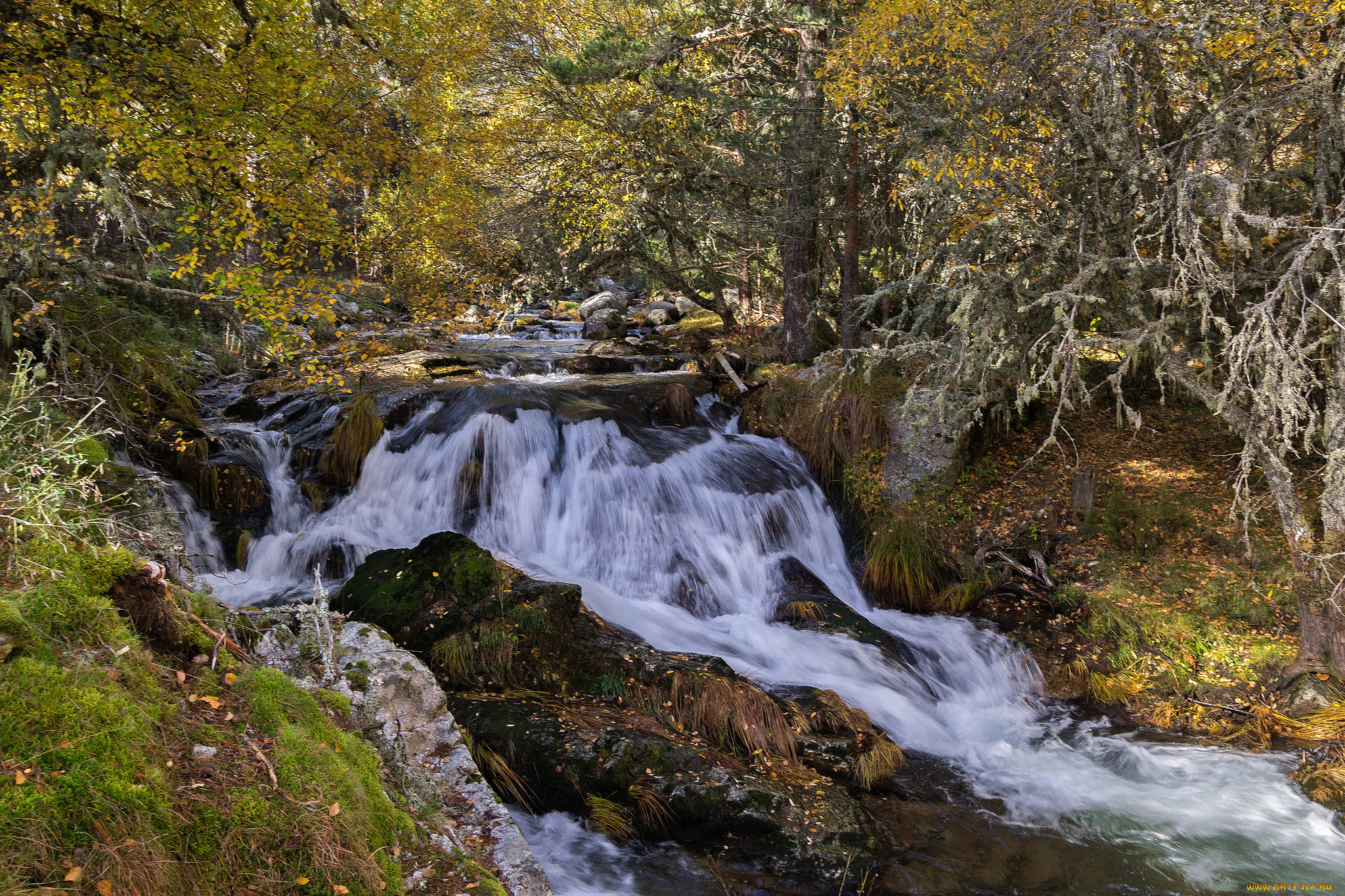 природа, реки, озера, простор
