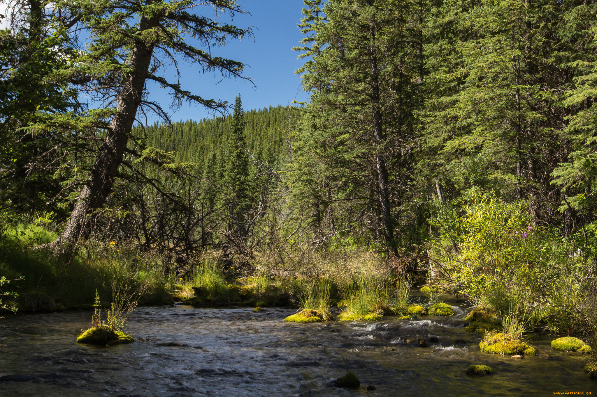 природа, реки, озера, простор