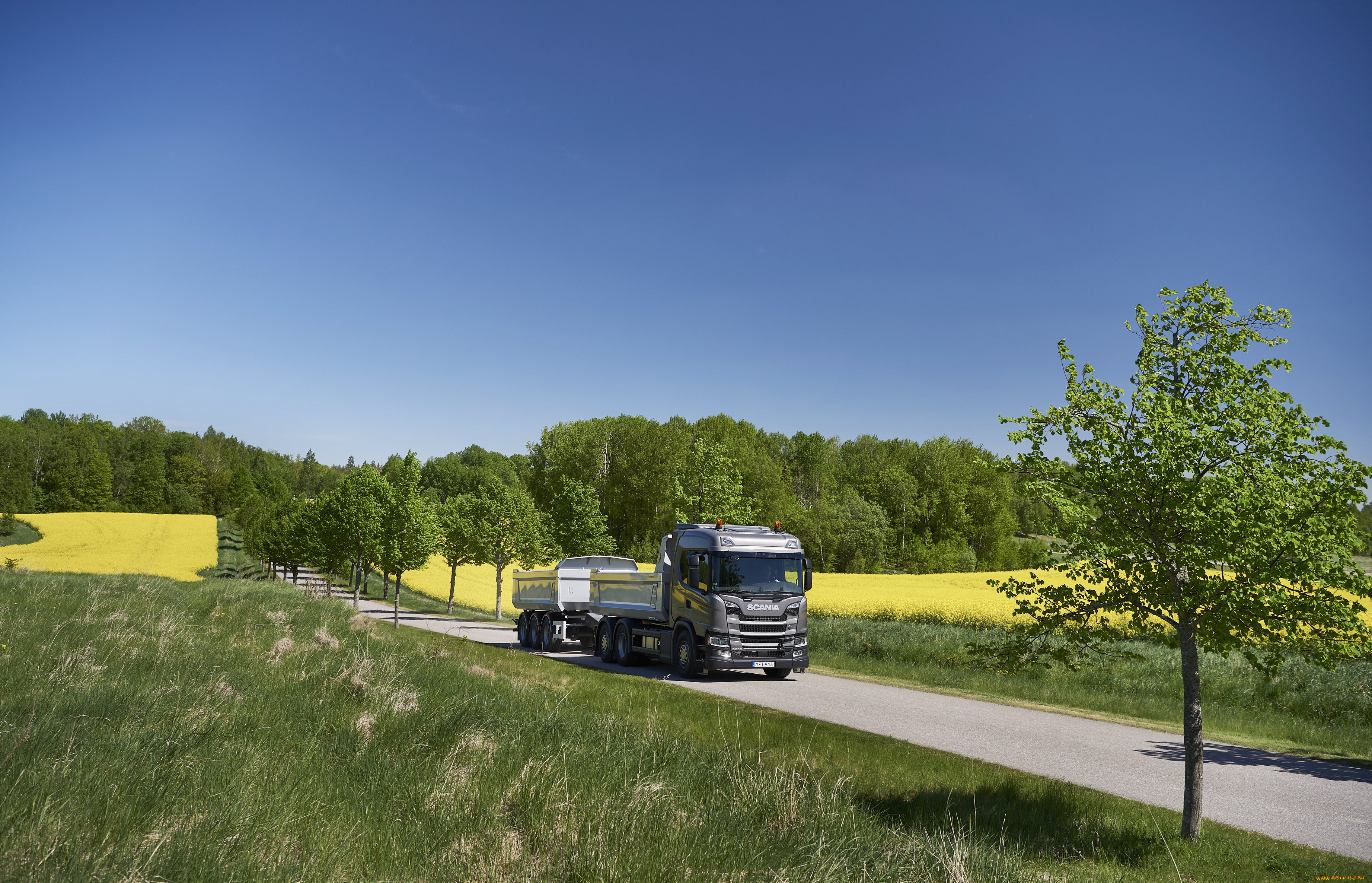 автомобили, scania