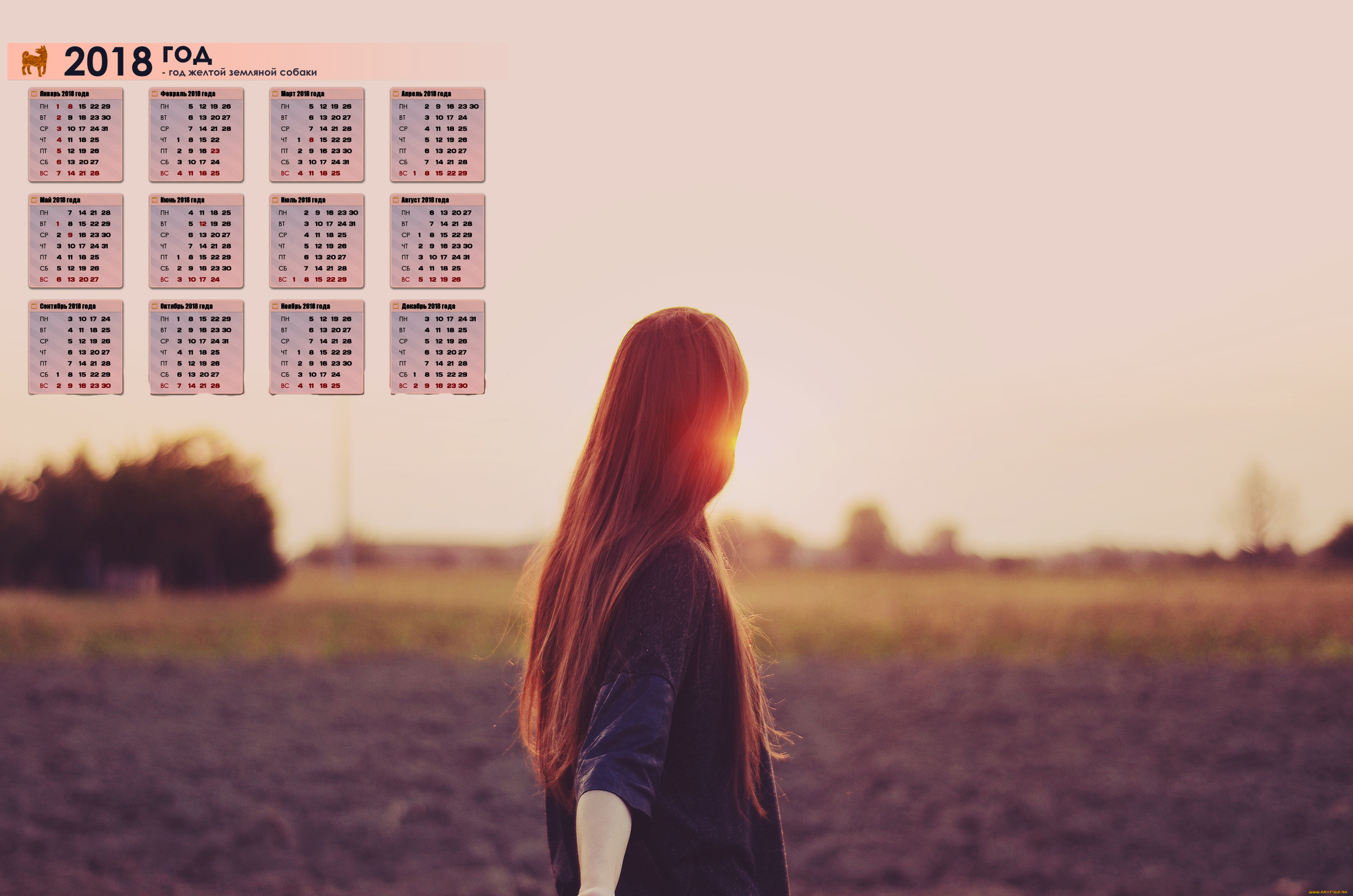 календари, девушки, 2018, закат, спина