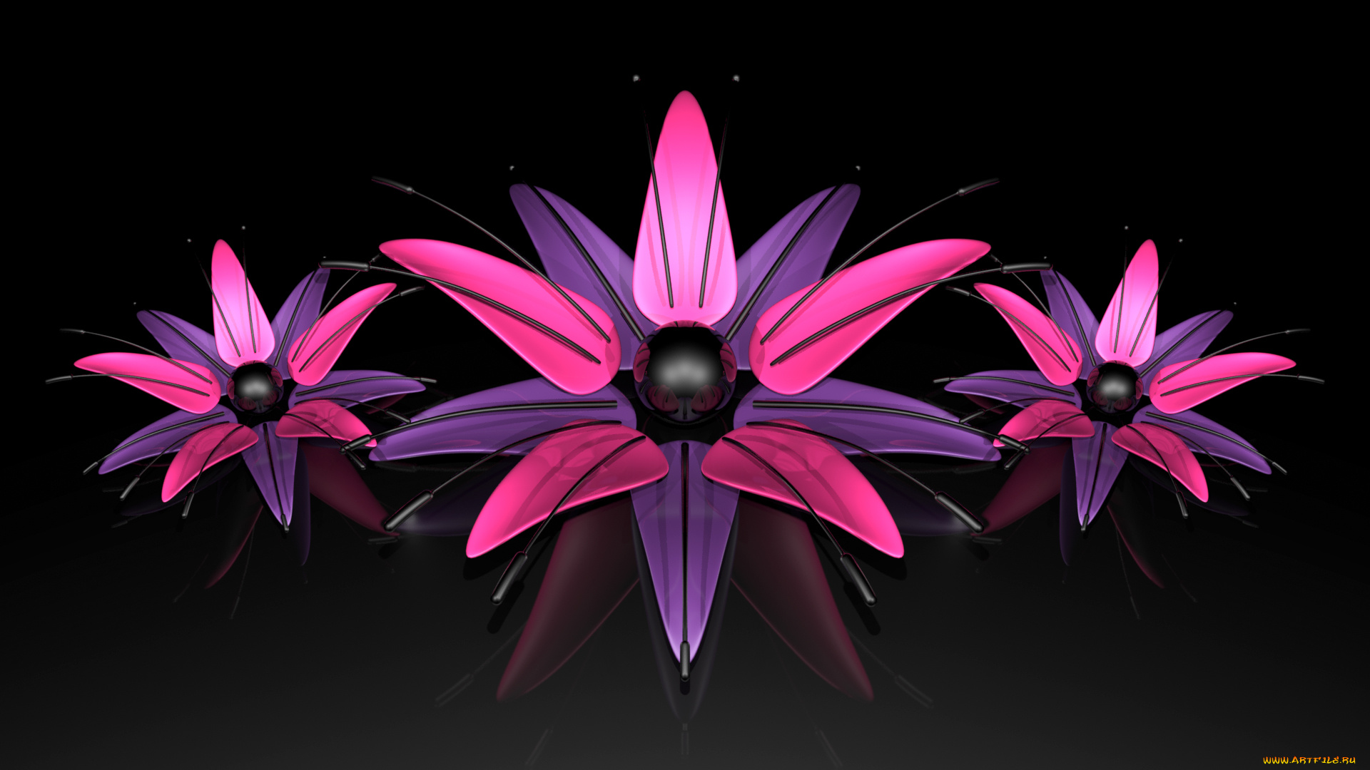 3д, графика, цветы, , flowers, цвет, фон, узор