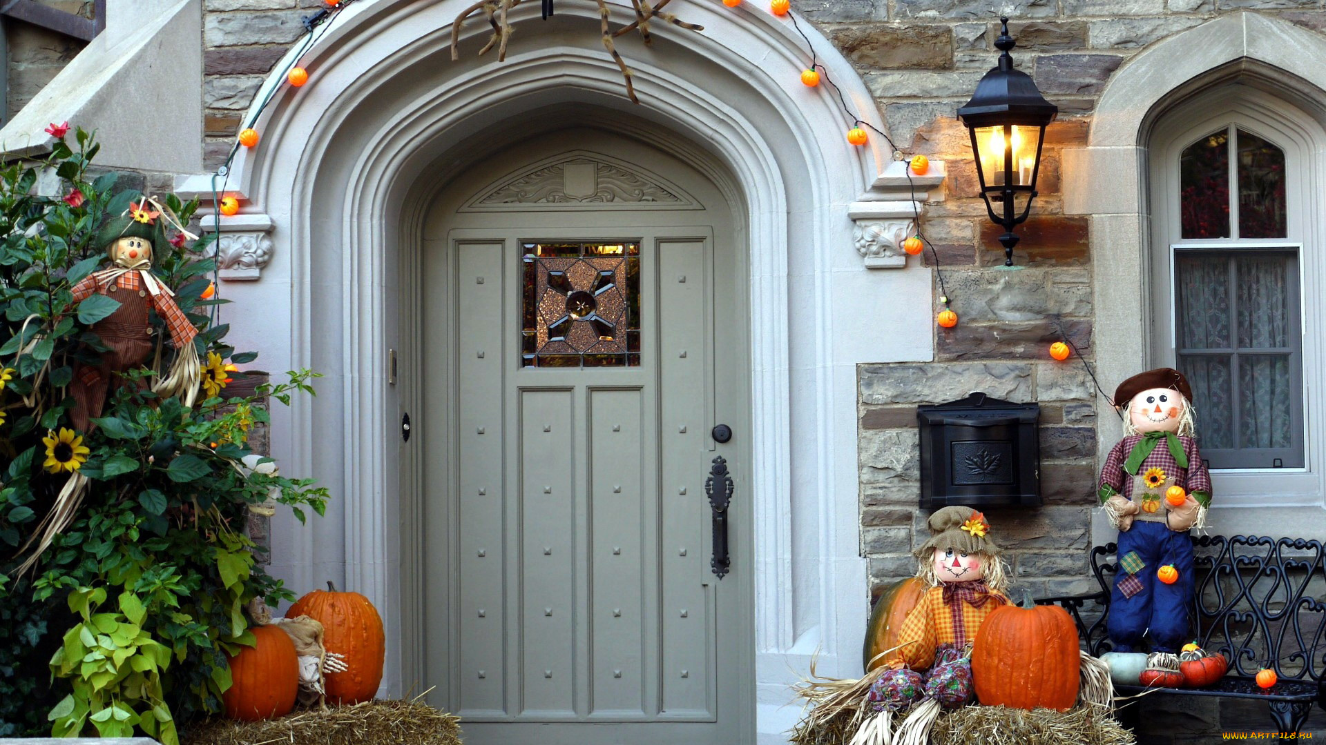 праздничные, хэллоуин, тыквы