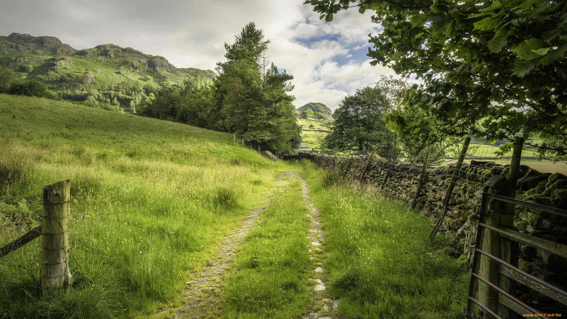 природа, дороги, простор