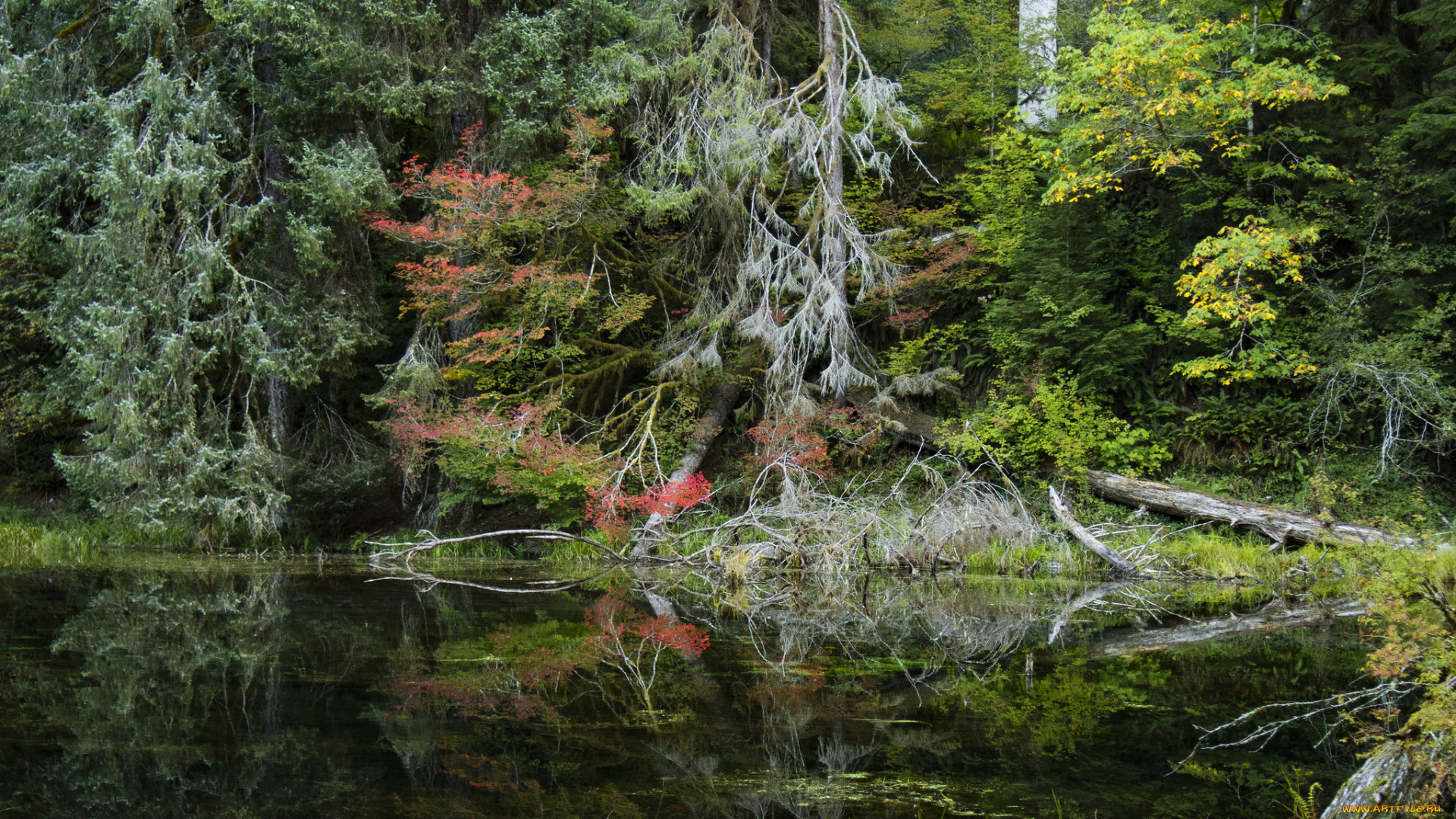 природа, реки, озера, простор