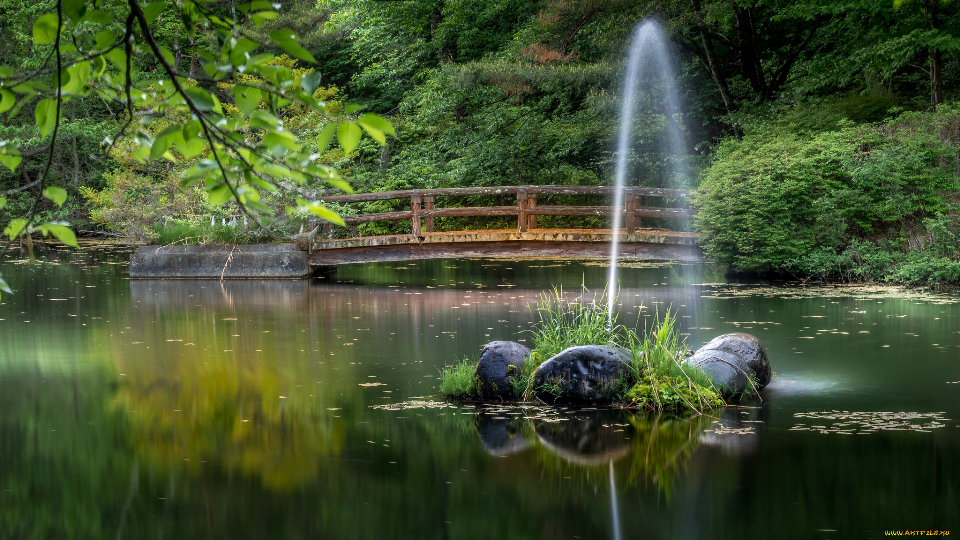 природа, реки, озера, простор