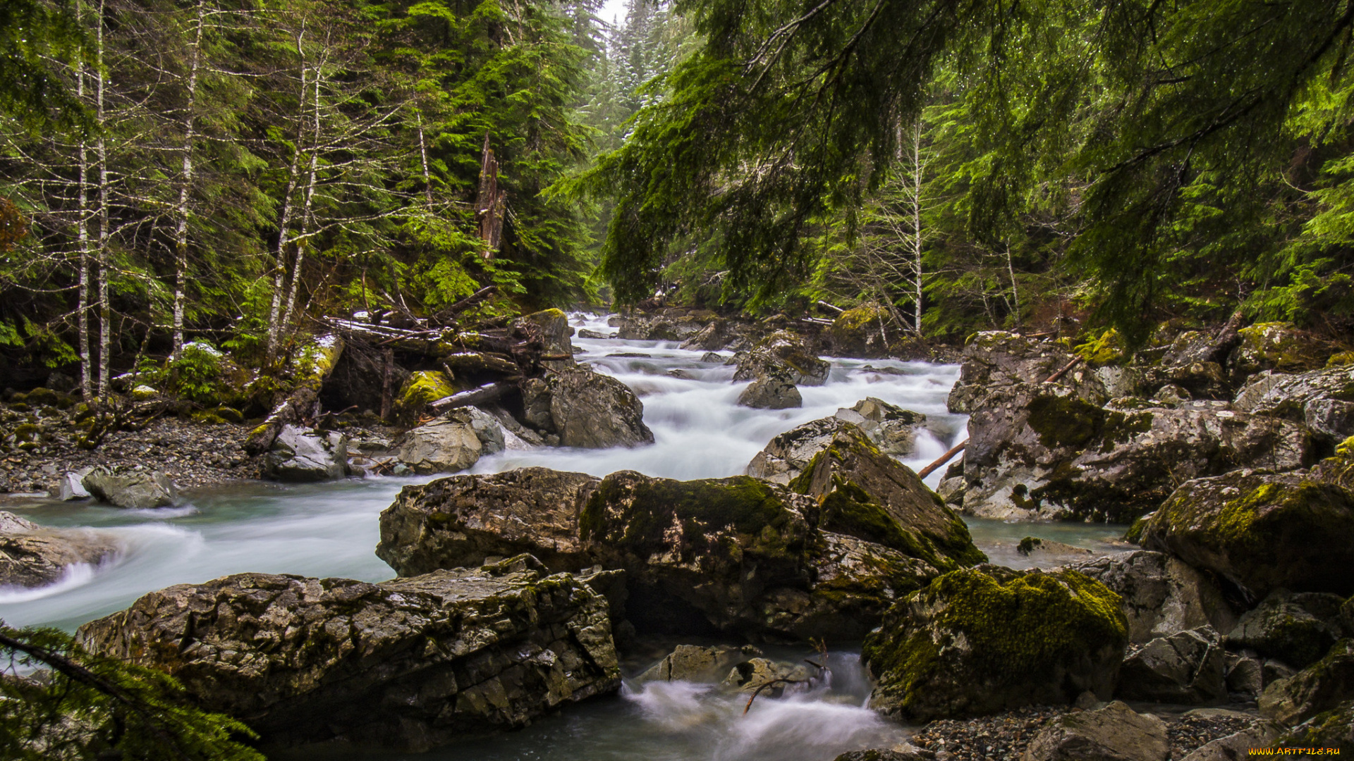 природа, реки, озера, простор