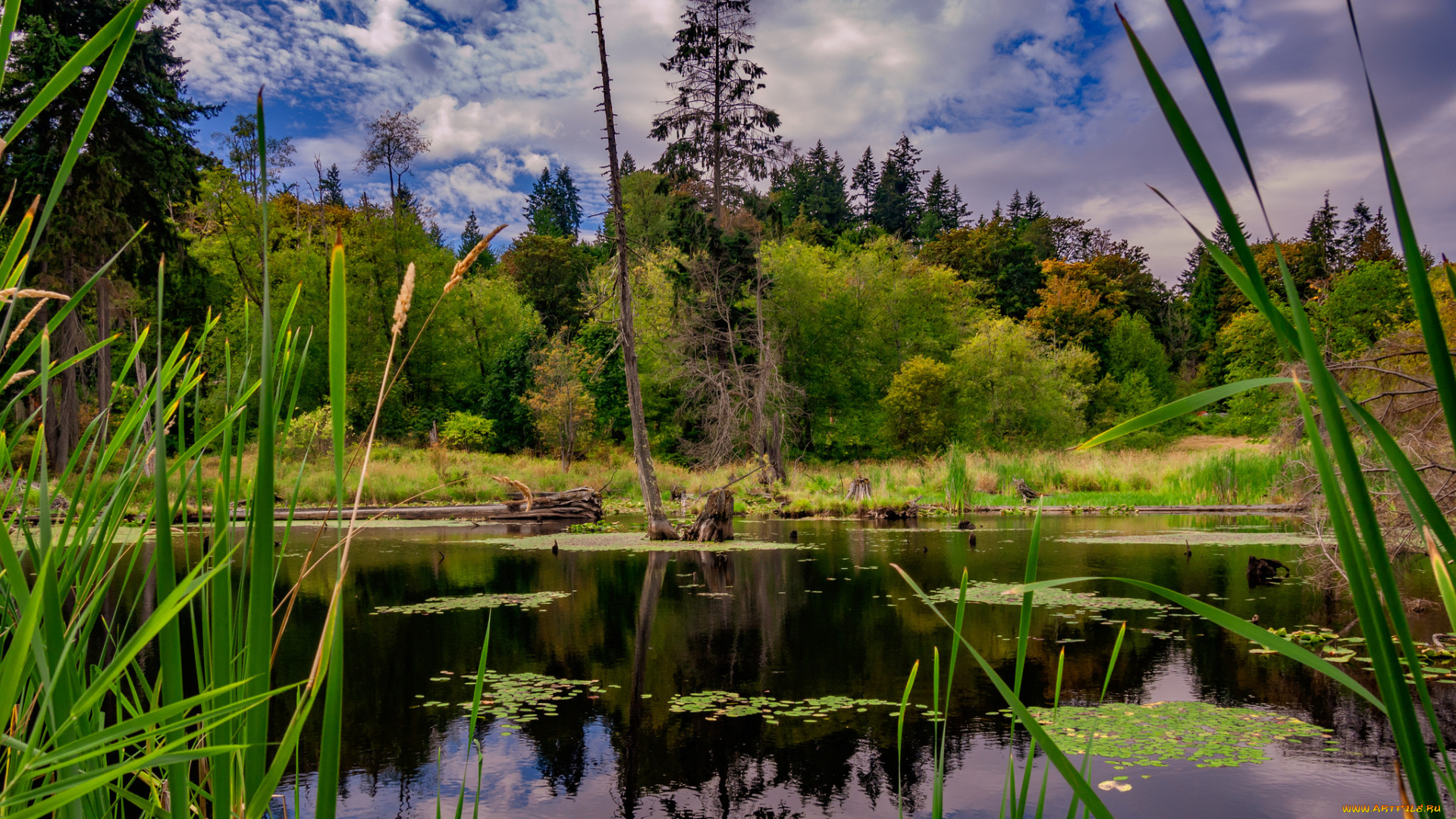 природа, реки, озера, простор