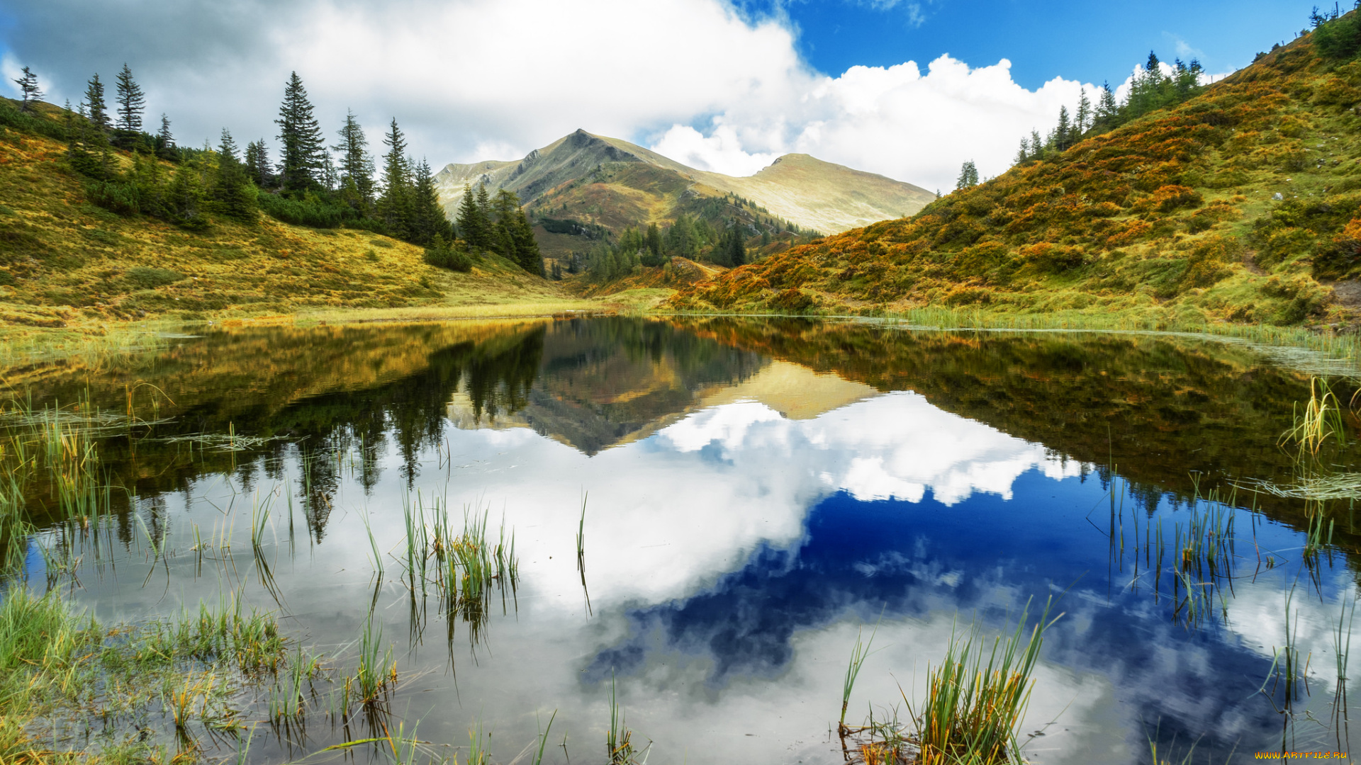 природа, реки, озера, простор