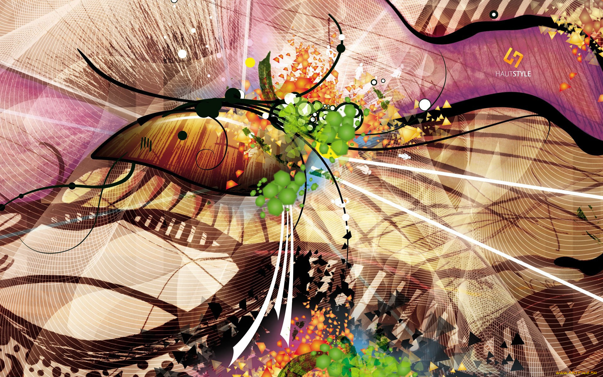 векторная, графика, -графика, , graphics, сеть, линии, цвета