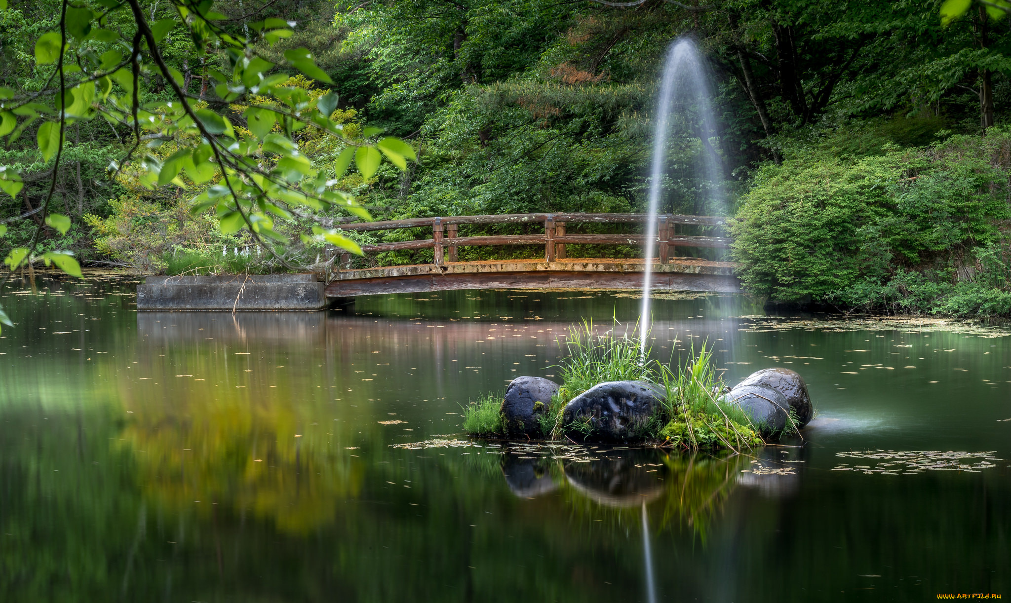 природа, реки, озера, простор