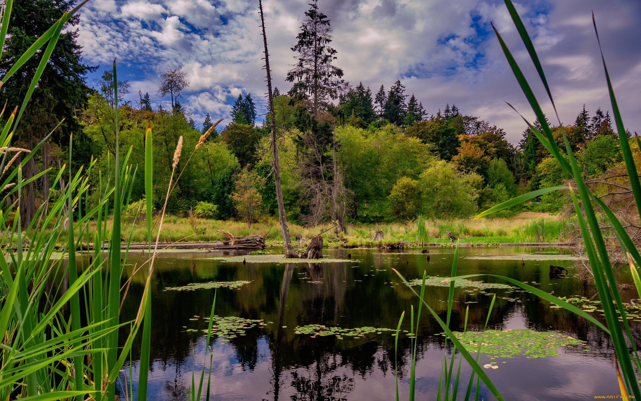 природа, реки, озера, простор