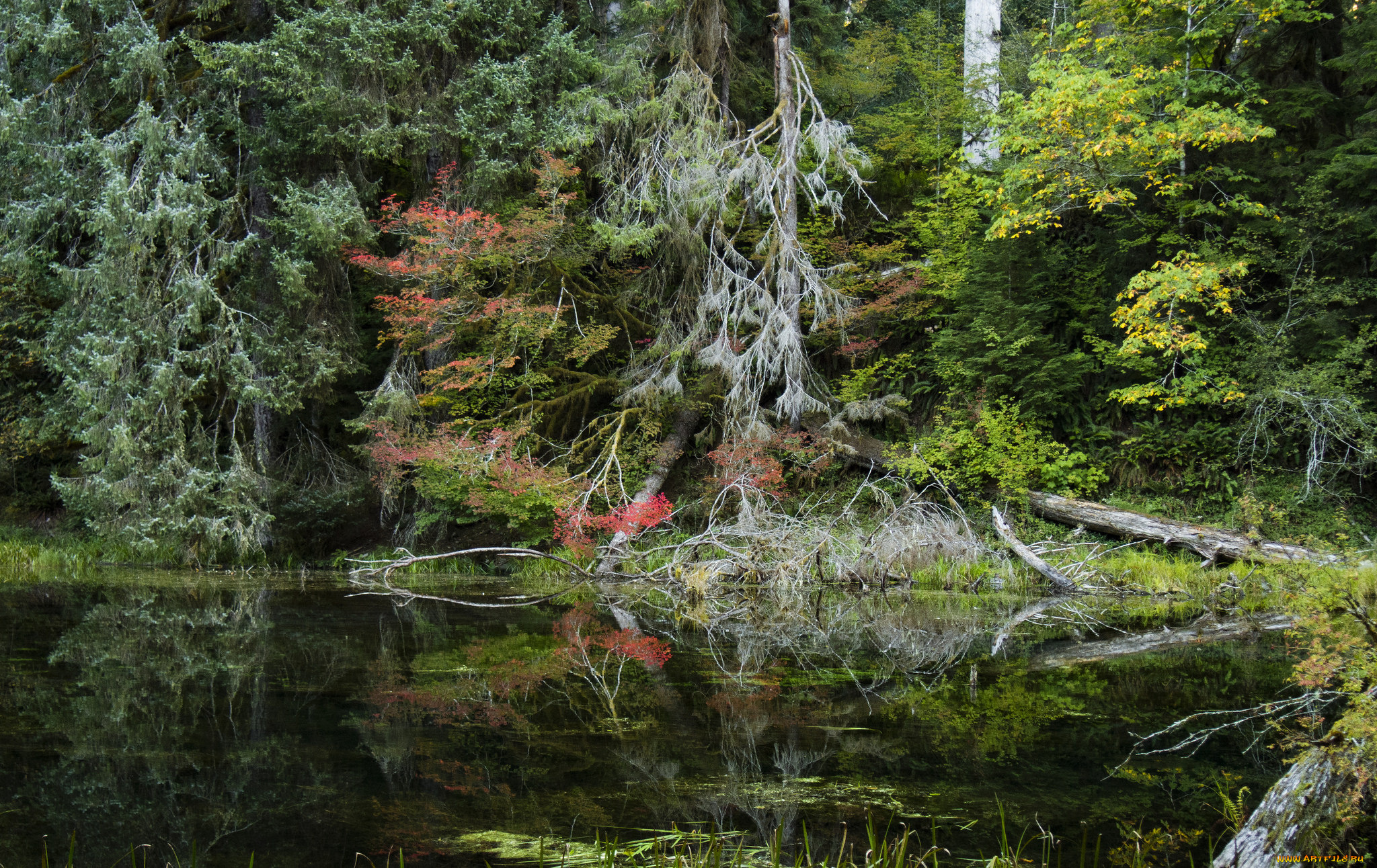 природа, реки, озера, простор