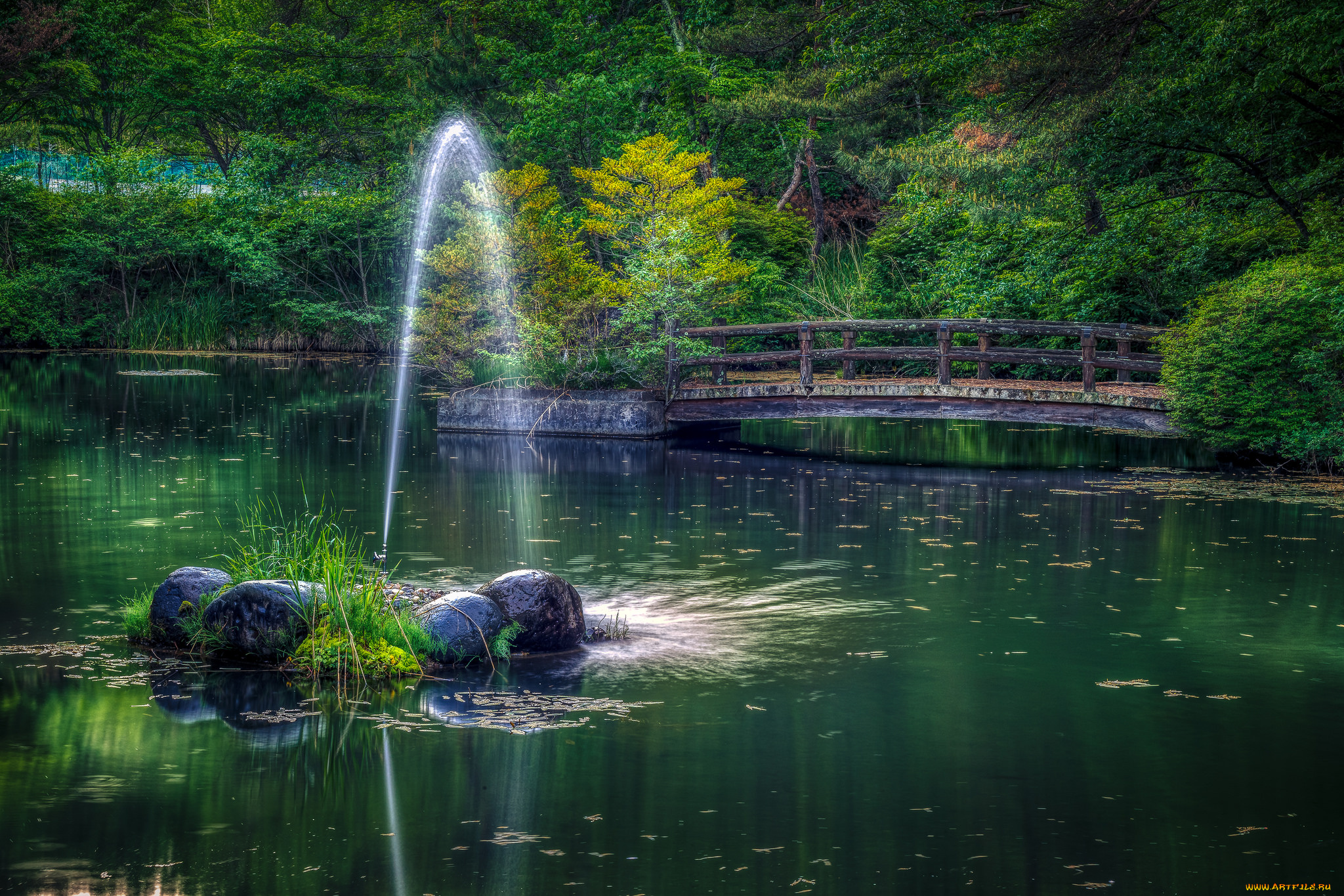 природа, реки, озера, простор