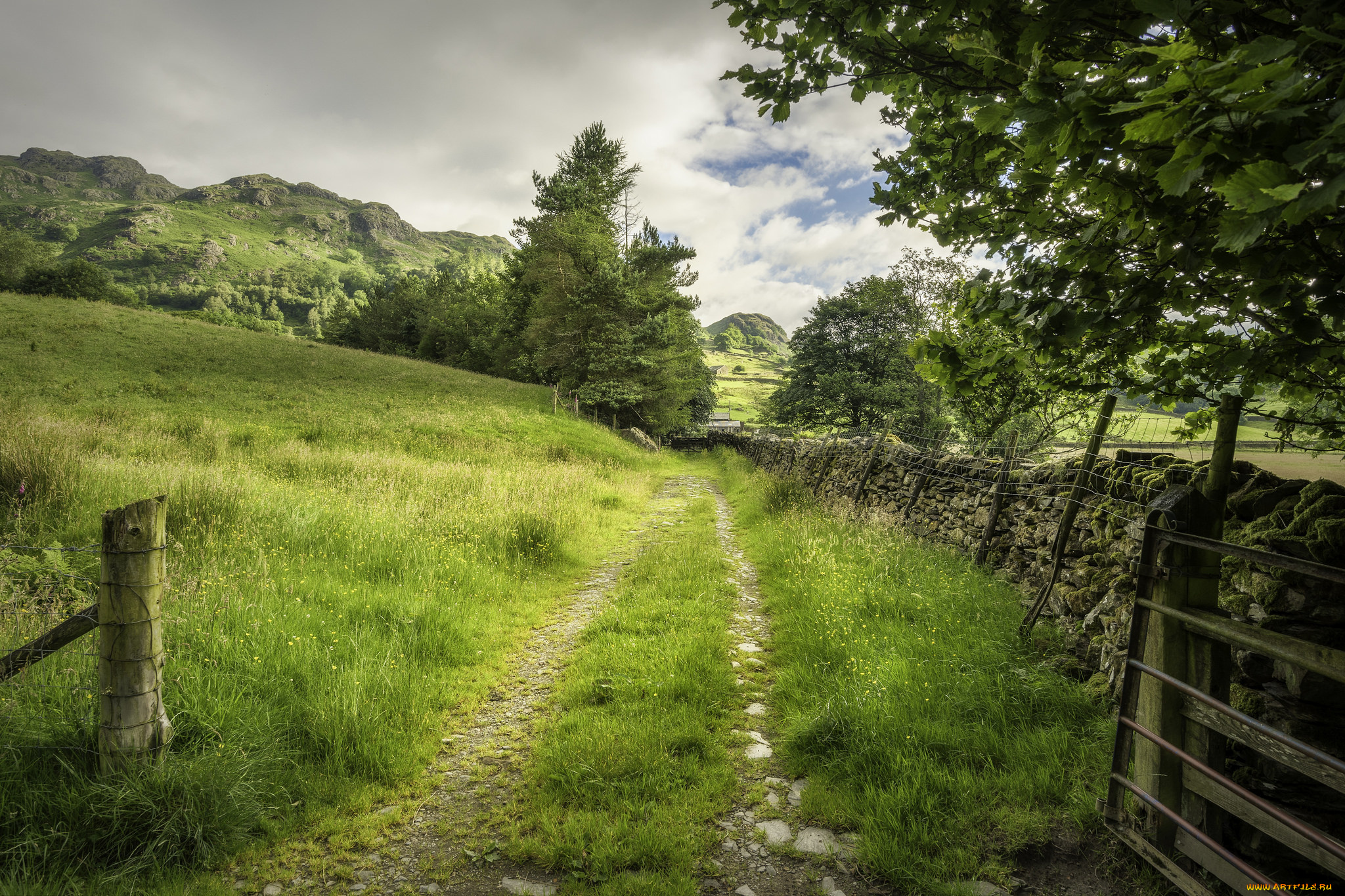 природа, дороги, простор