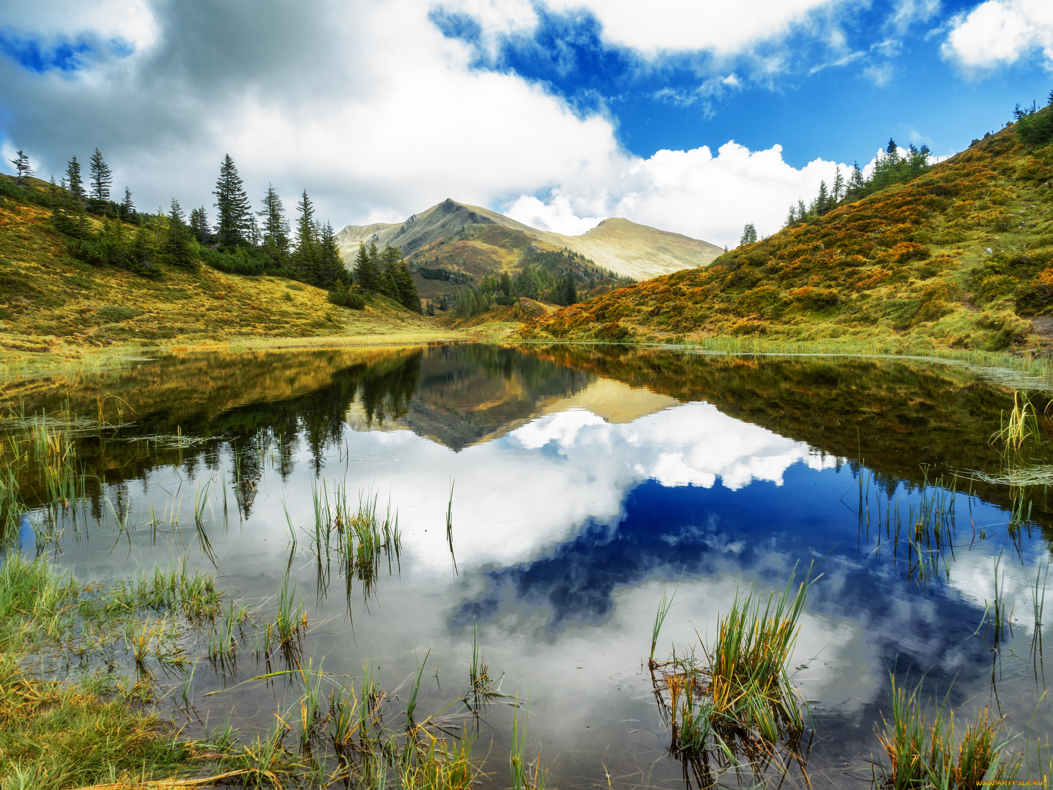 природа, реки, озера, простор