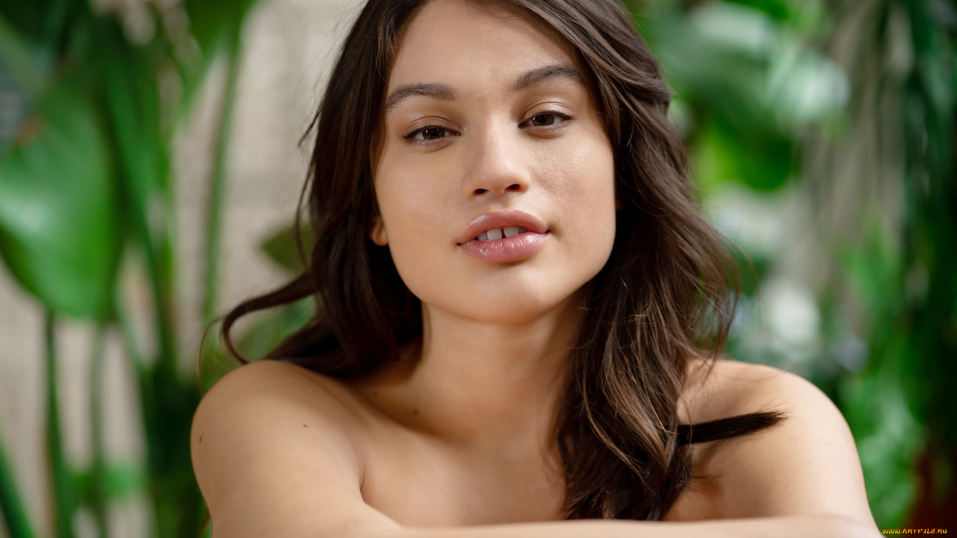 liv, wild, девушки, лицо, портрет, макияж, брюнетка, модель, девушка, liv, wild, улыбка, взгляд