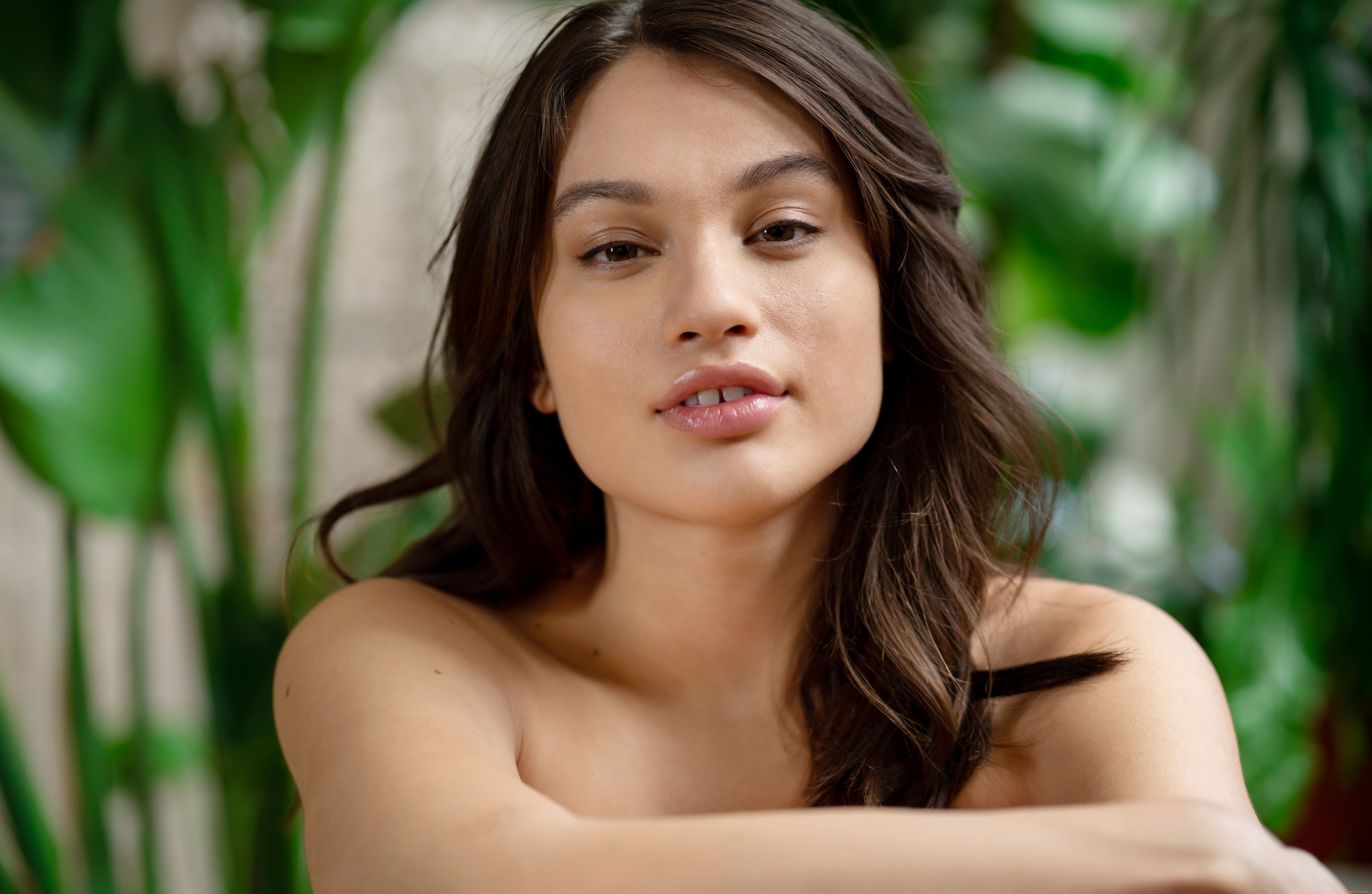 liv, wild, девушки, лицо, портрет, макияж, брюнетка, модель, девушка, liv, wild, улыбка, взгляд