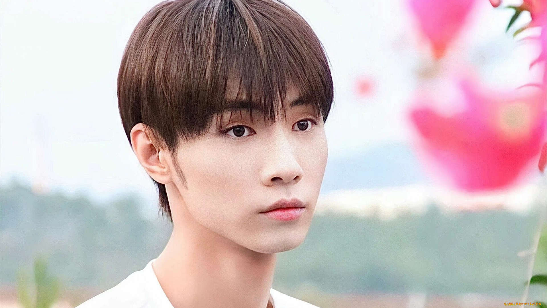 мужчины, song, ji, yang, сун, цзиян, китайский, актёр, певец