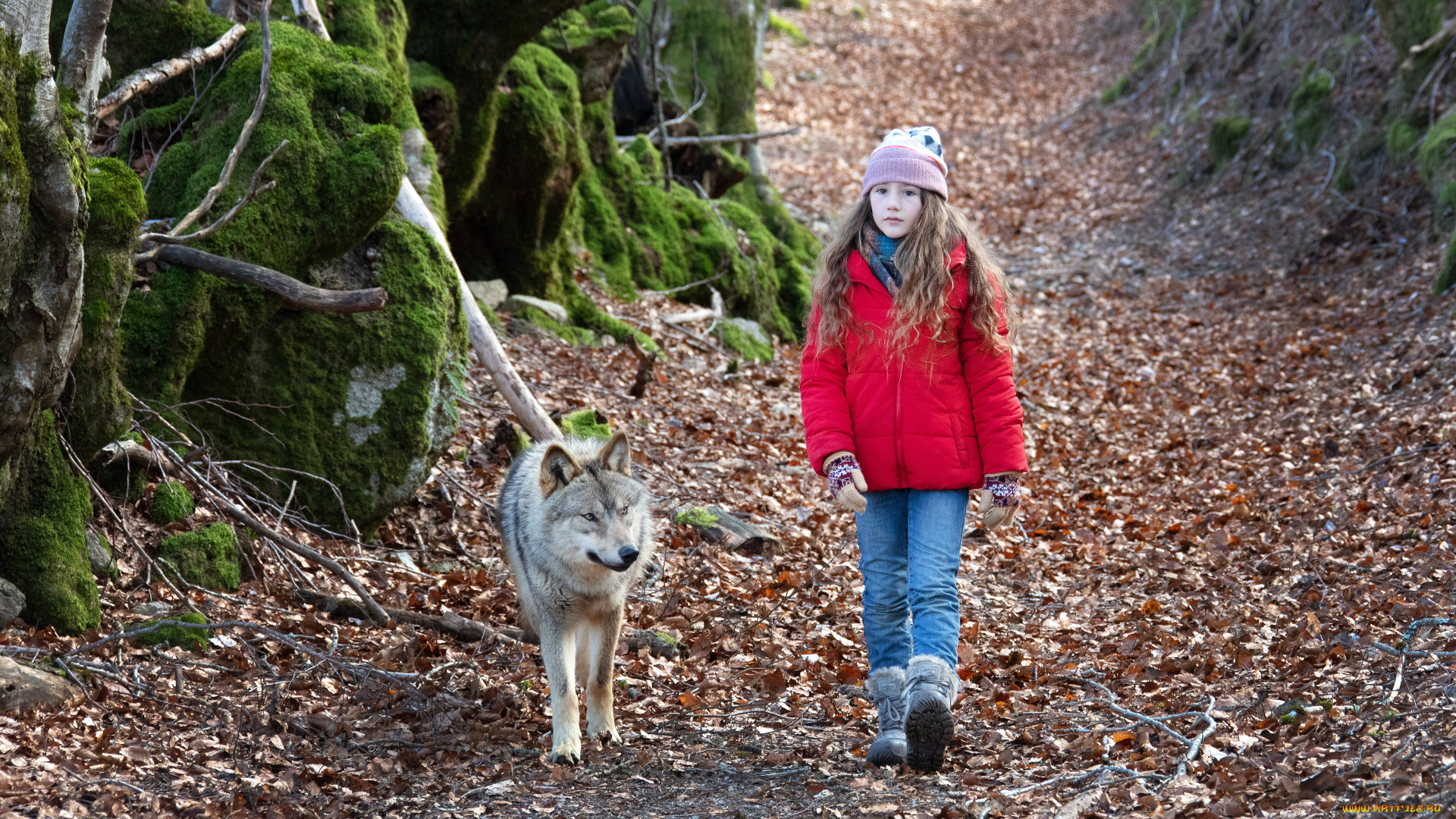 mystere, ||, 2022, кино, фильмы, mystere, комедия, мой, волк, семейный, shanna, keil, виктория, кадры, из, фильма