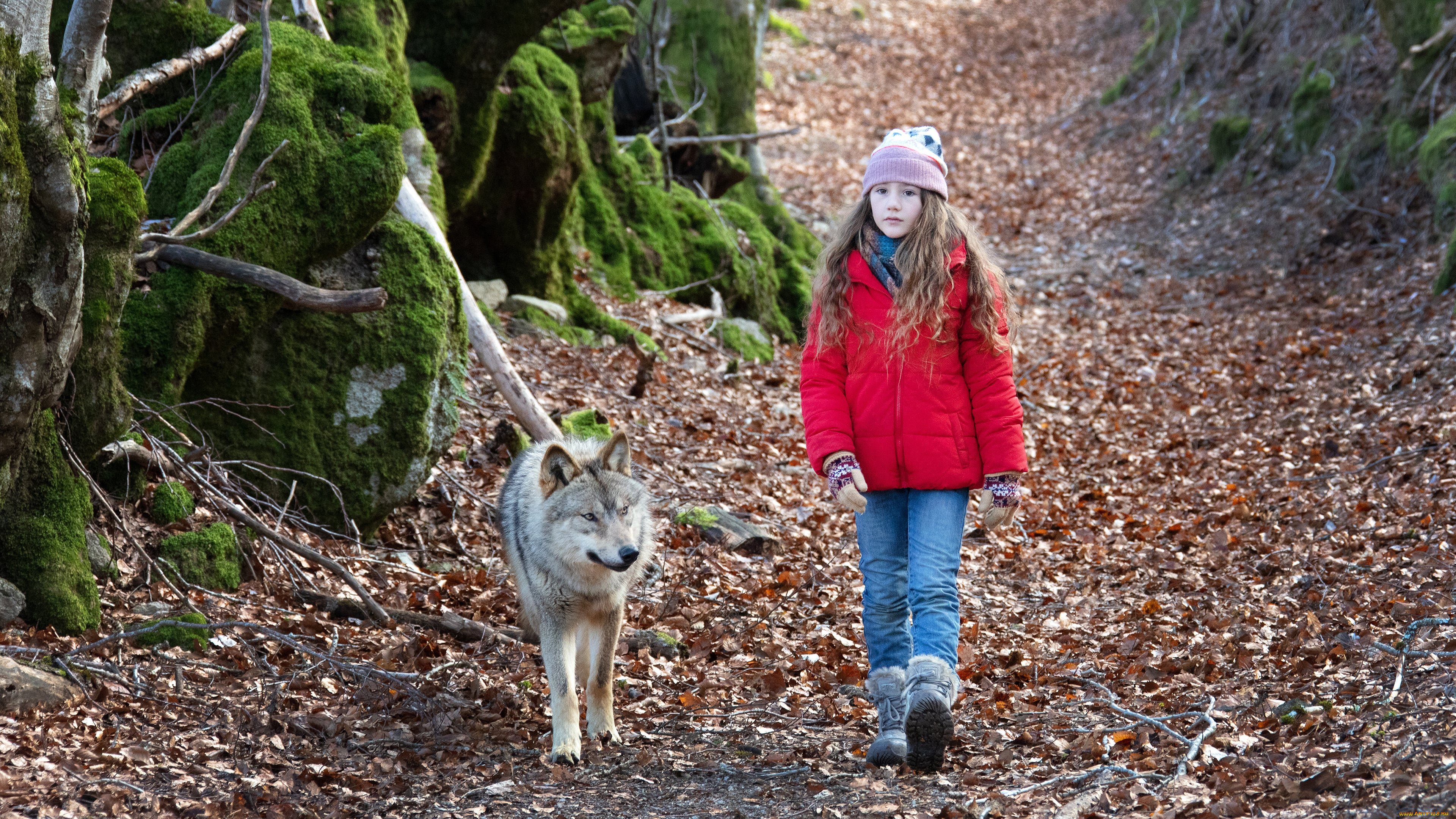 mystere, ||, 2022, кино, фильмы, mystere, комедия, мой, волк, семейный, shanna, keil, виктория, кадры, из, фильма