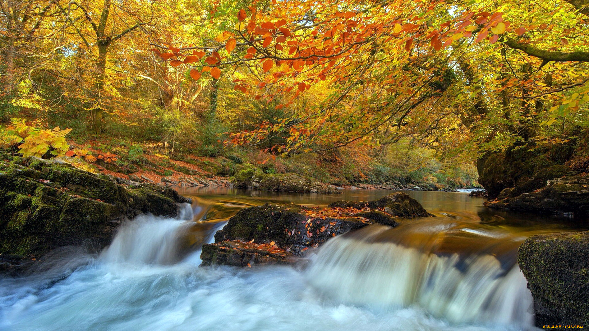 dart, river, dartmoor, np, england, природа, реки, озера, dart, river, dartmoor, np