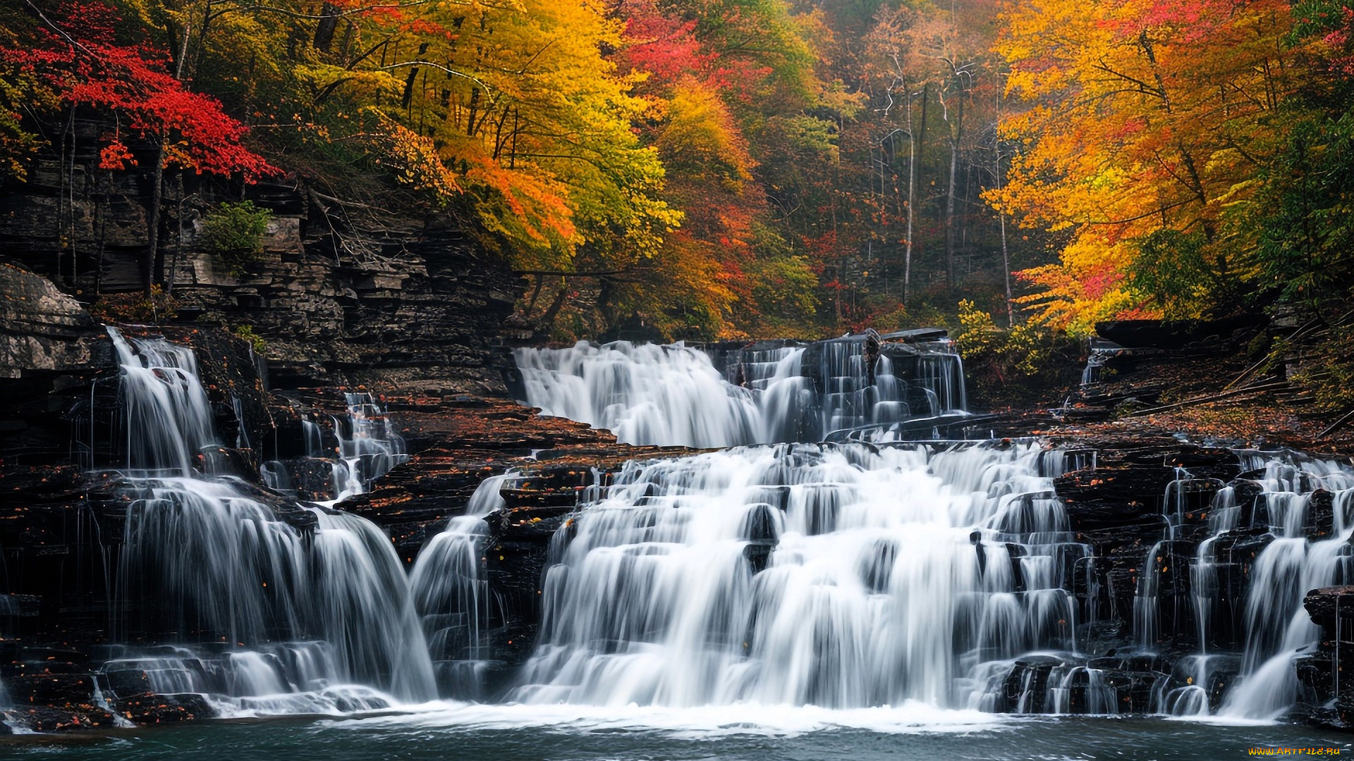 разное, компьютерный, дизайн, природа, лес, осень, водопад, каскад