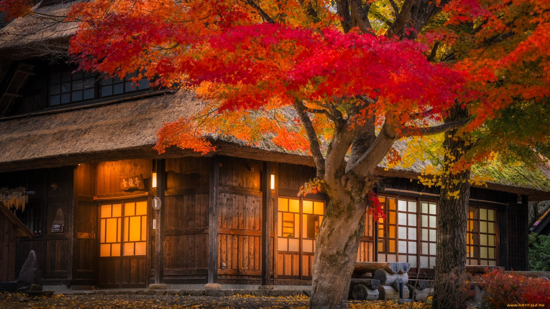 города, -, здания, , дома, дом, свет, япония, деревья, осень, листья, двор, кусты