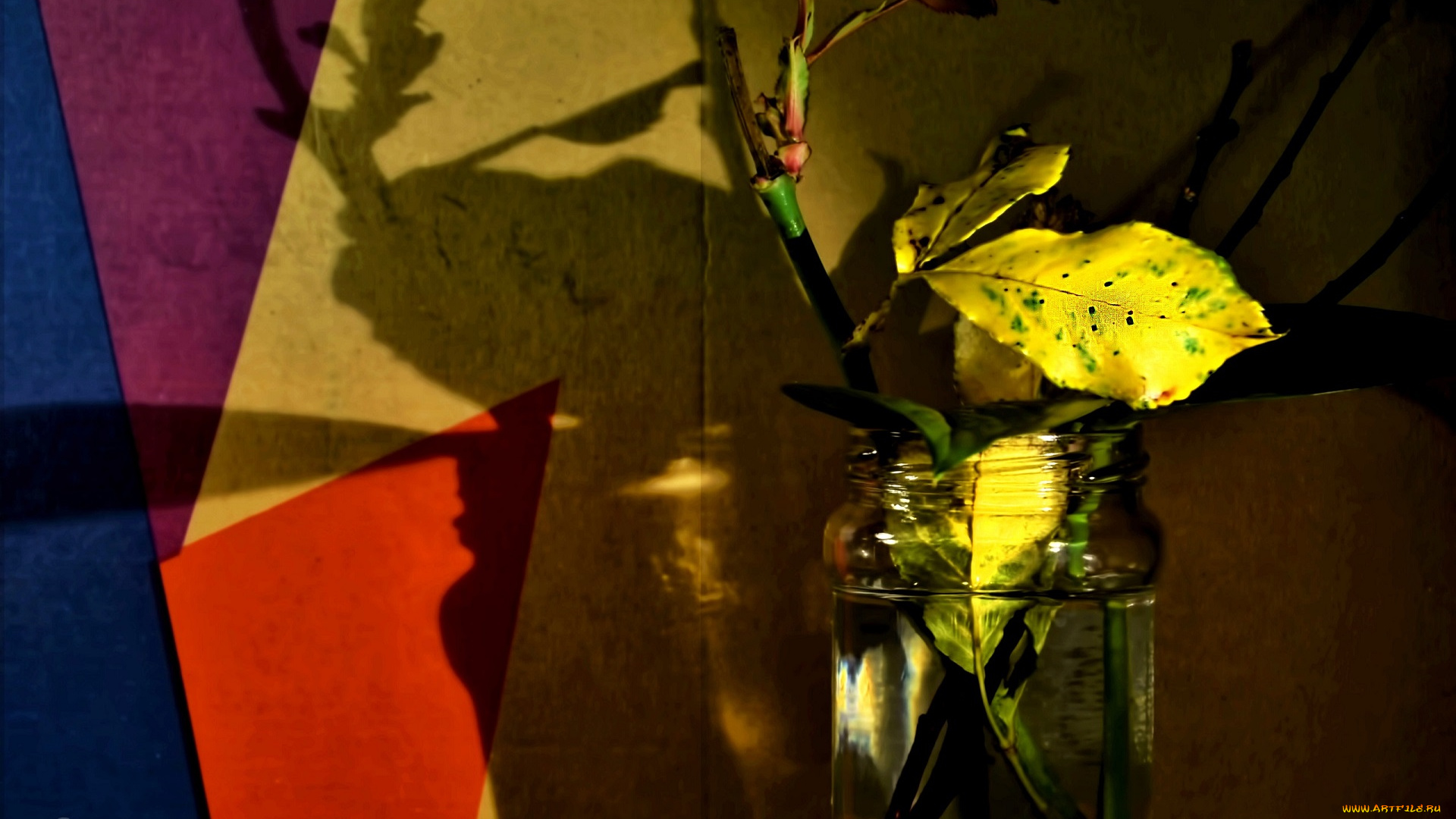 природа, листья, осенний, листик