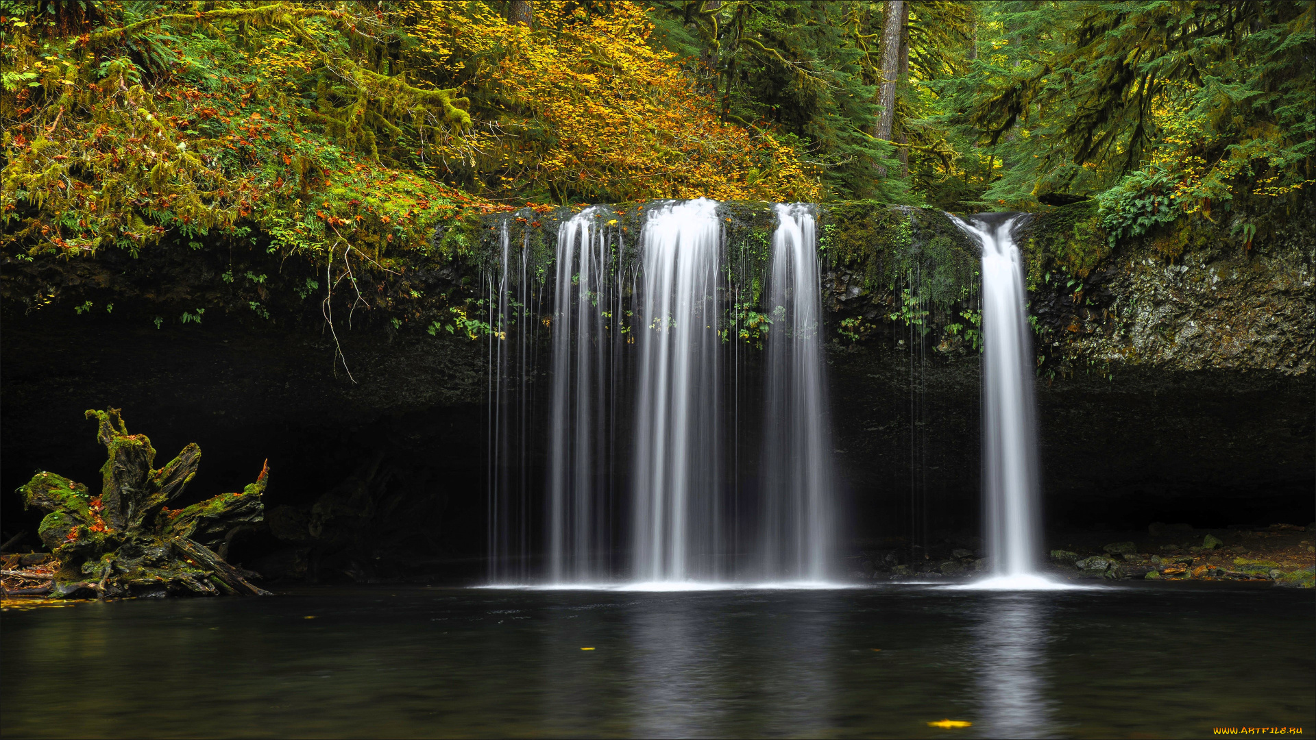 природа, водопады, лес, камень, осень, водопад, озеро, ступень