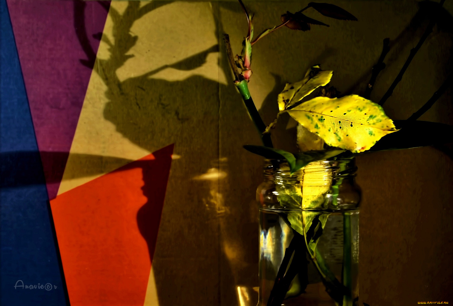 природа, листья, осенний, листик