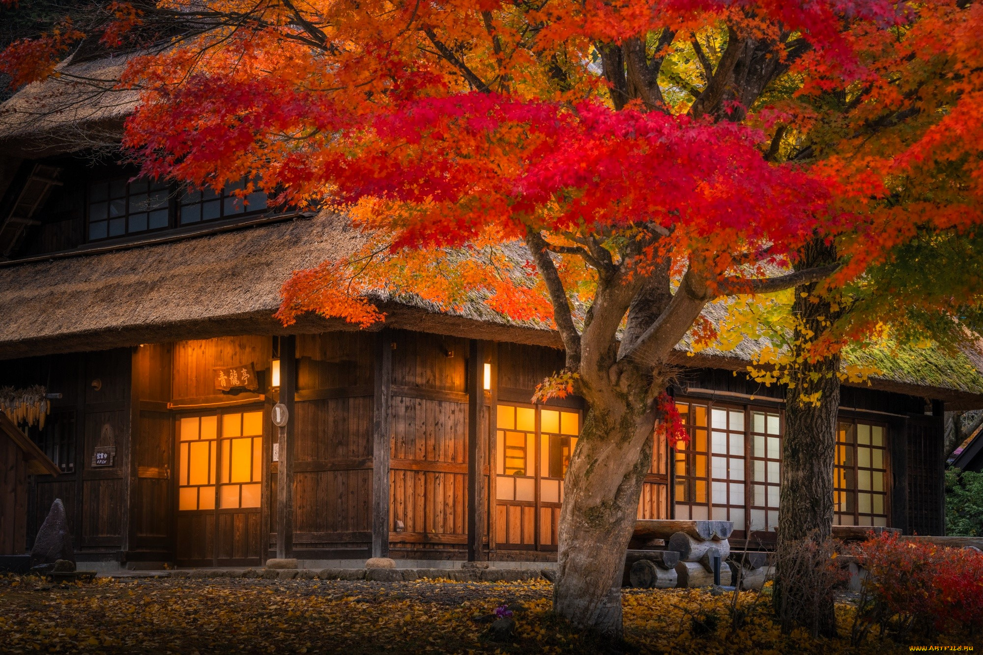 города, -, здания, , дома, дом, свет, япония, деревья, осень, листья, двор, кусты