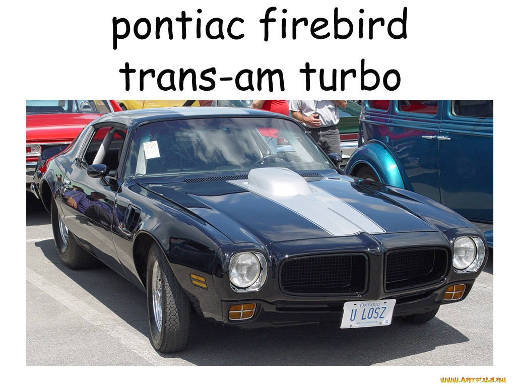 автомобили, выставки, уличные, фото