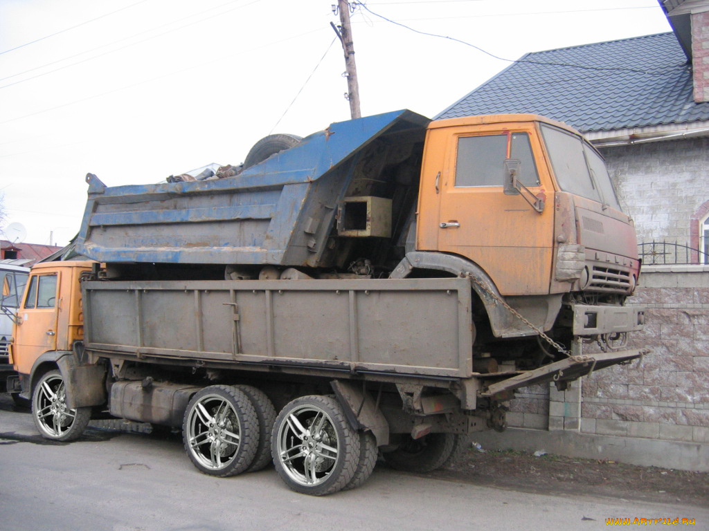 юмор, приколы